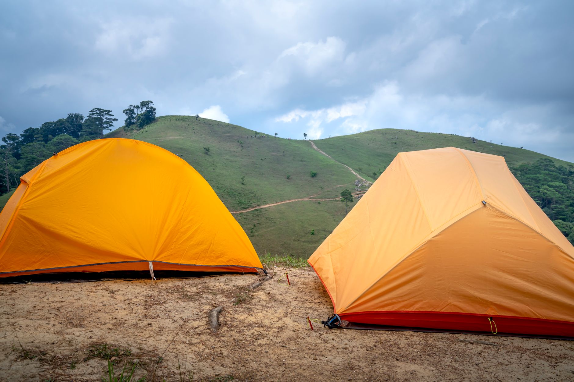 Build Your Dream Event on Kodaikanal's Hills