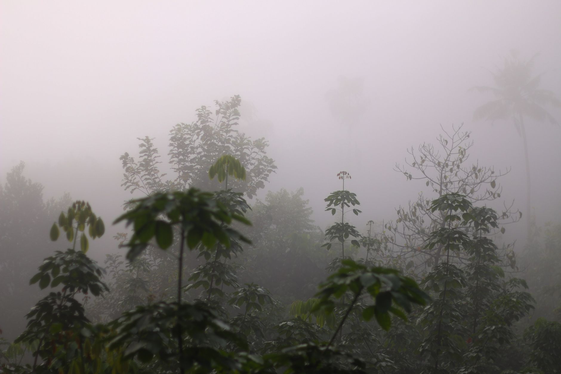 Kodaikanal Travel Portraits