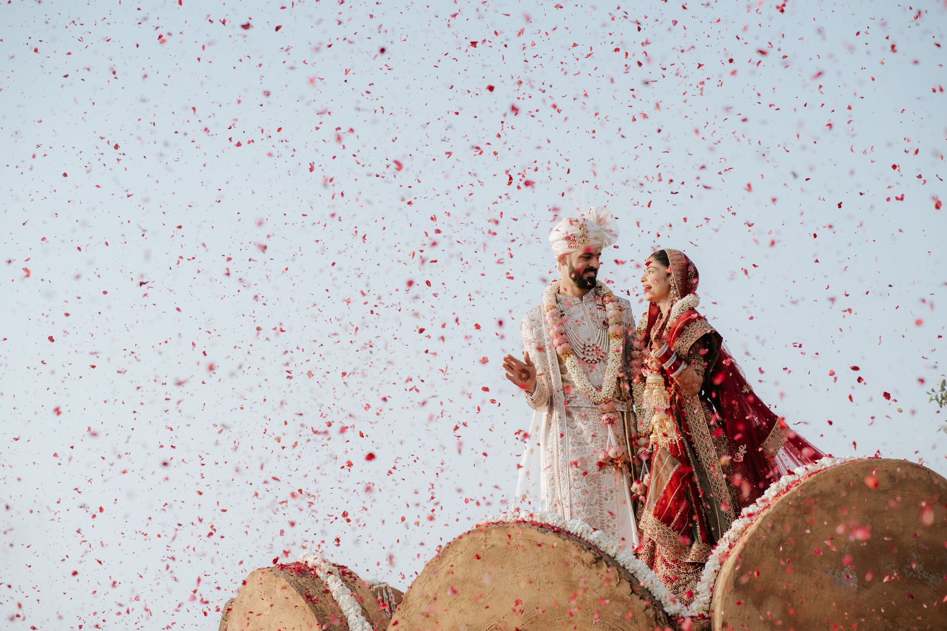 Celebration Petal Shower