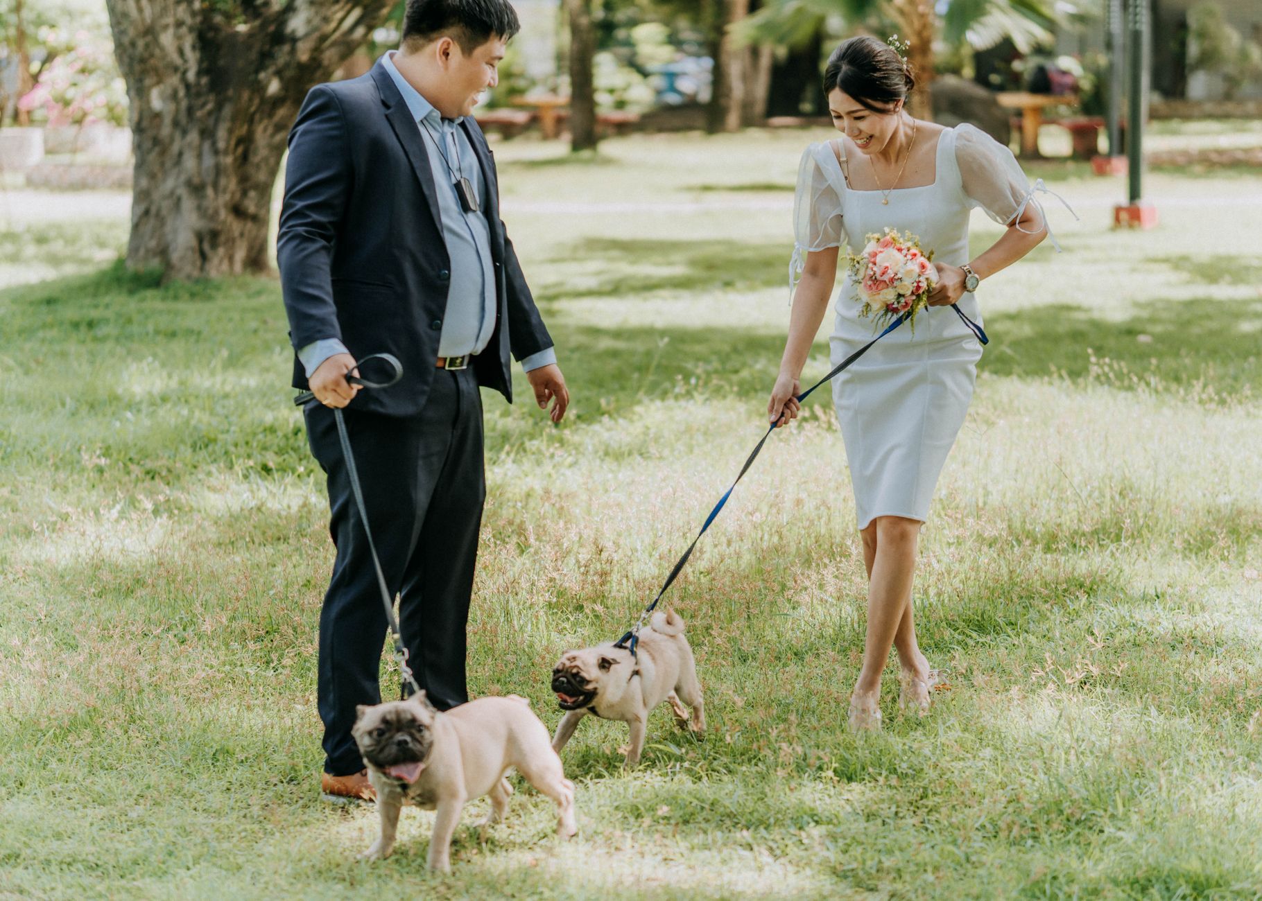 Guest Pet Care in Functions
