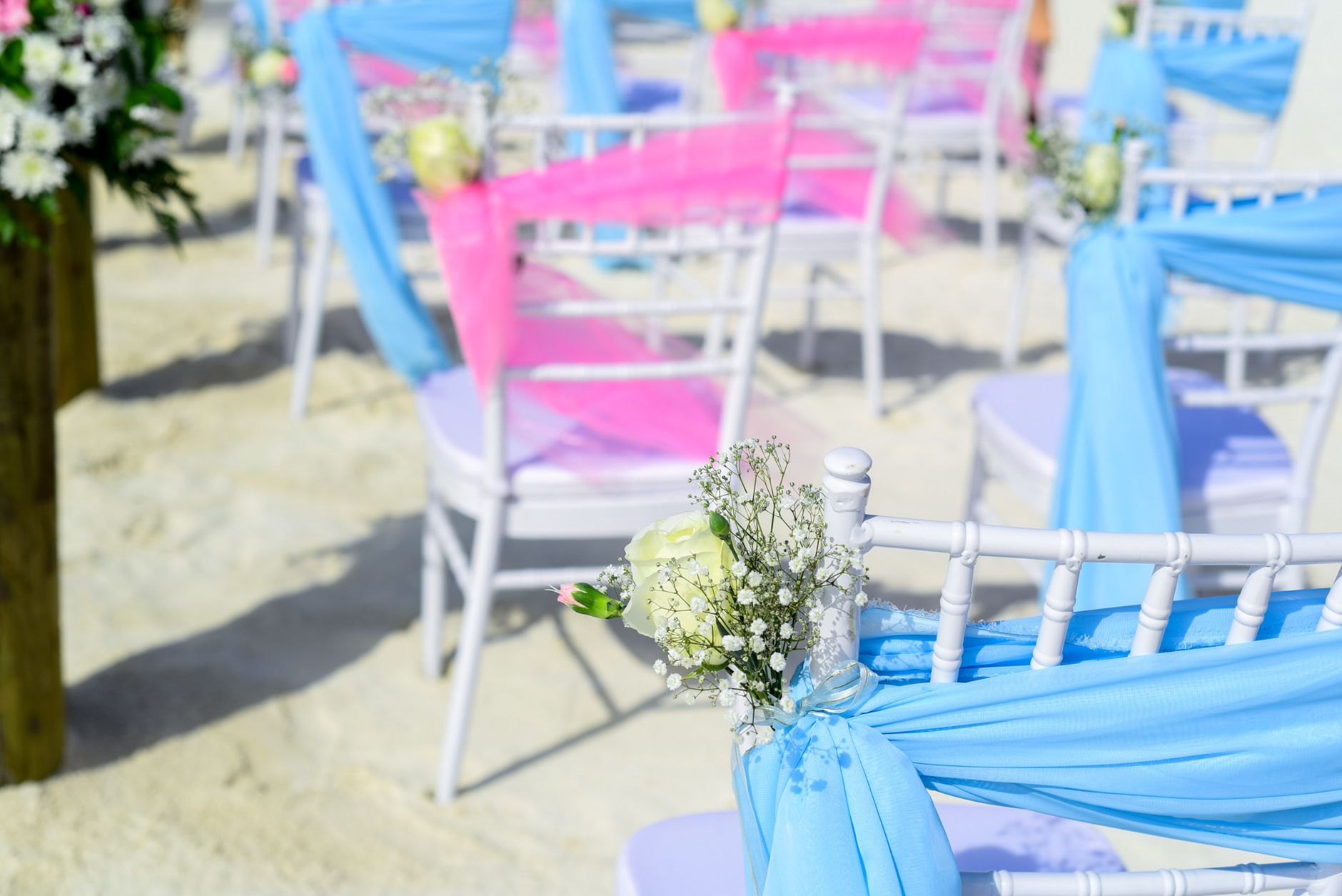 Elegant Cross Back Chairs, Kovalam