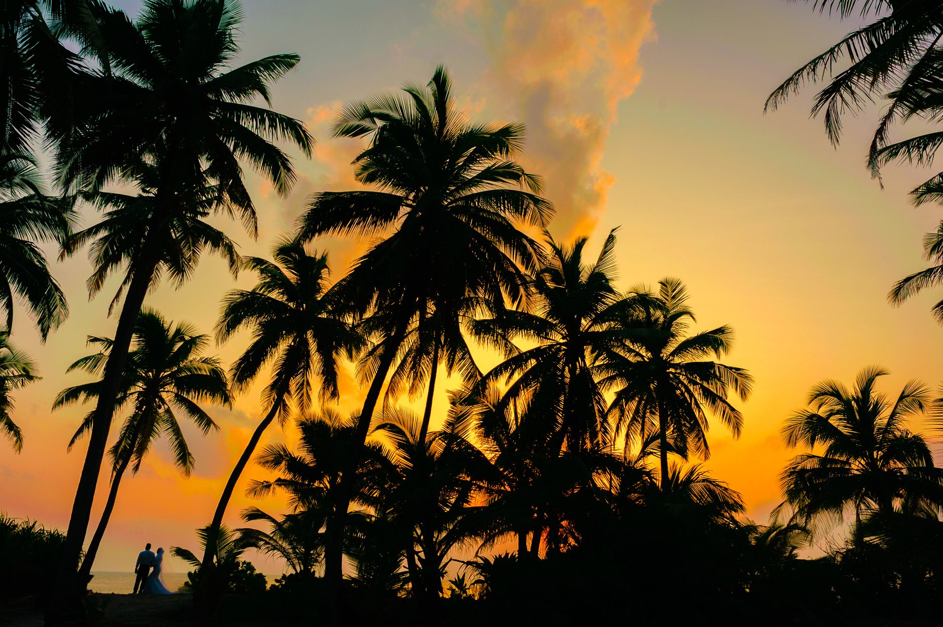 Kovalam Honeymoon Packages for Newlyweds