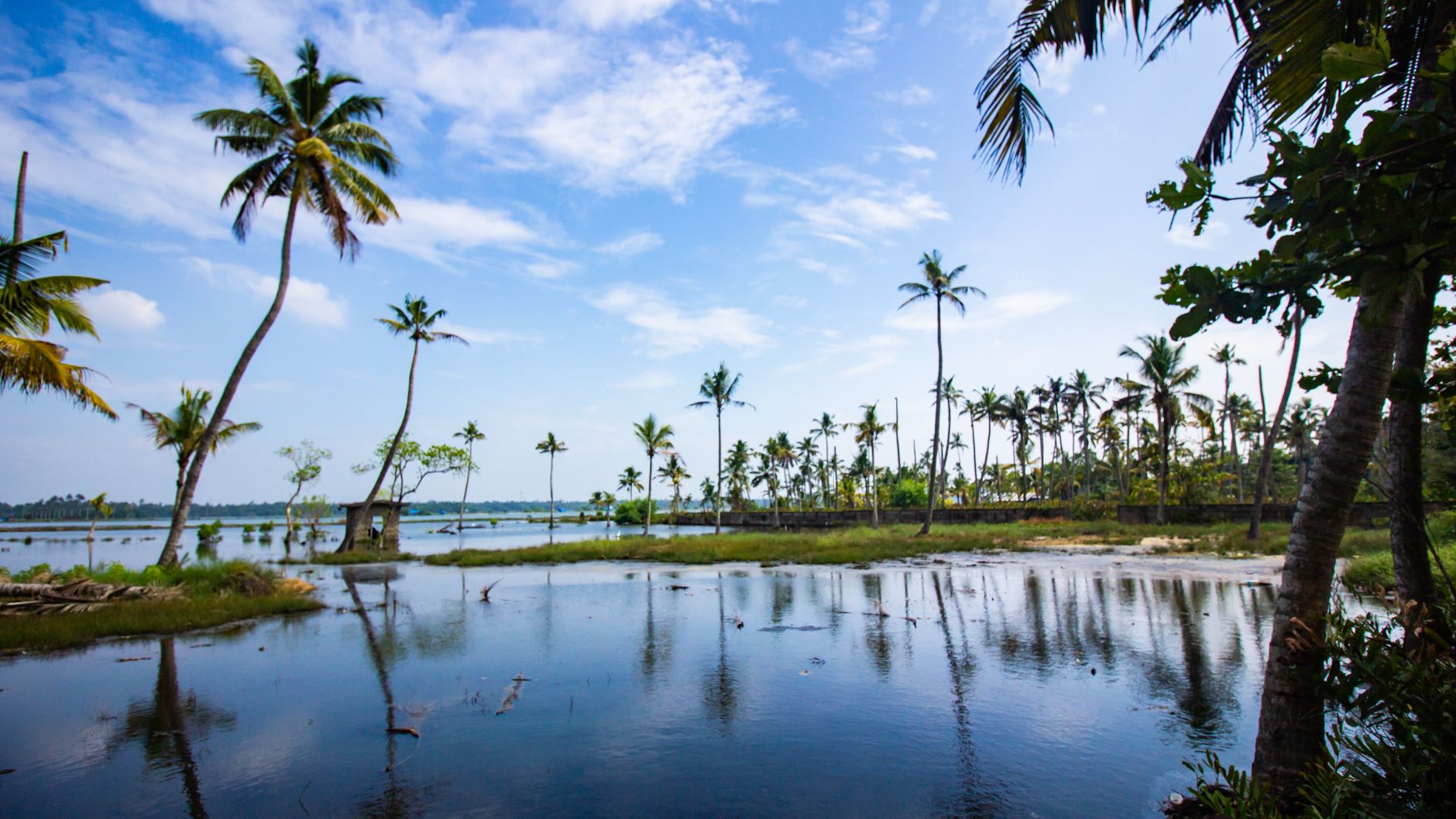 Kovalam's Finest Caravan Rentals