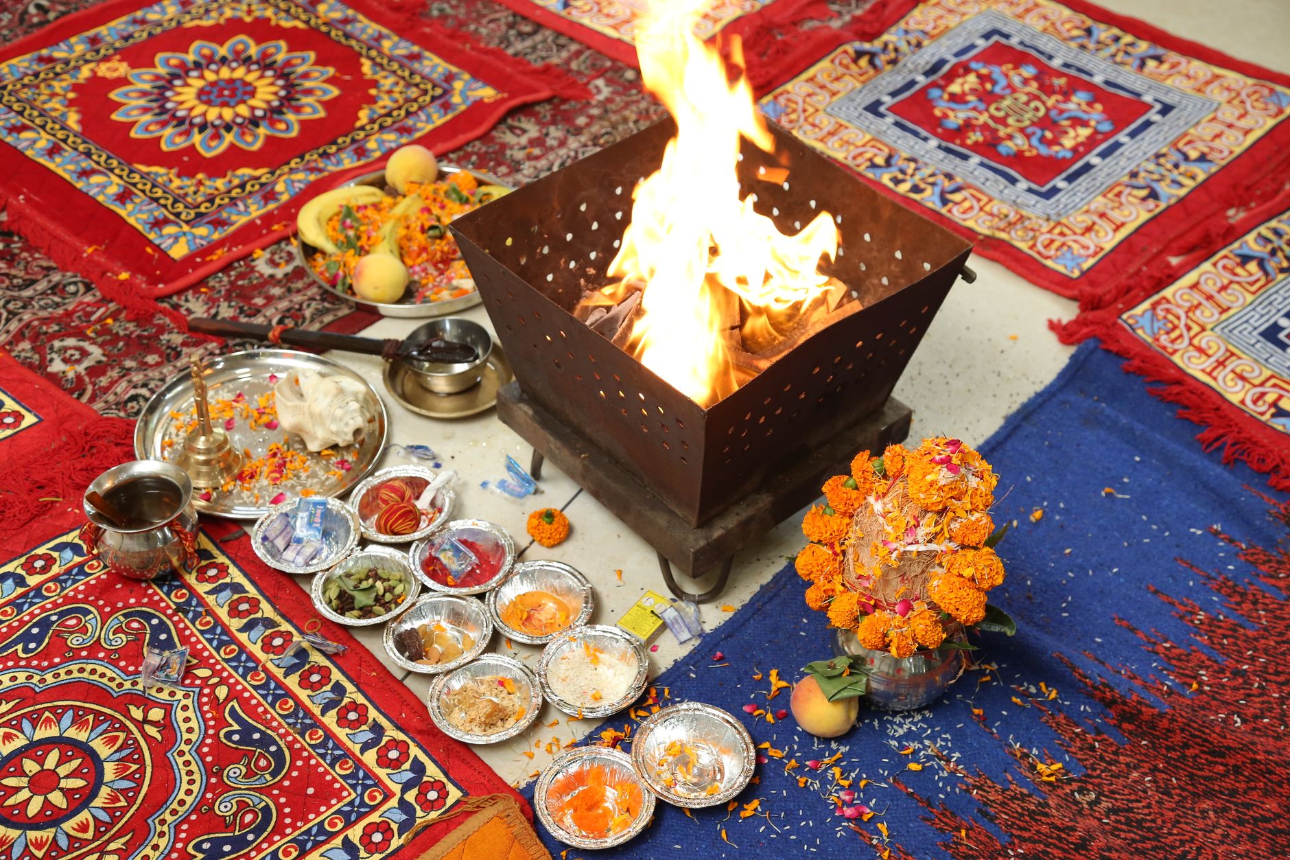 Vedic Astrologers