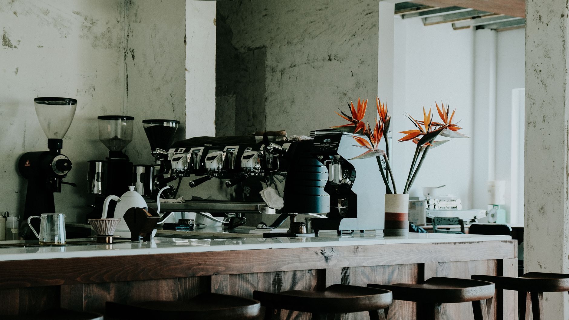 Craft Coffee Magic in Kumarakom