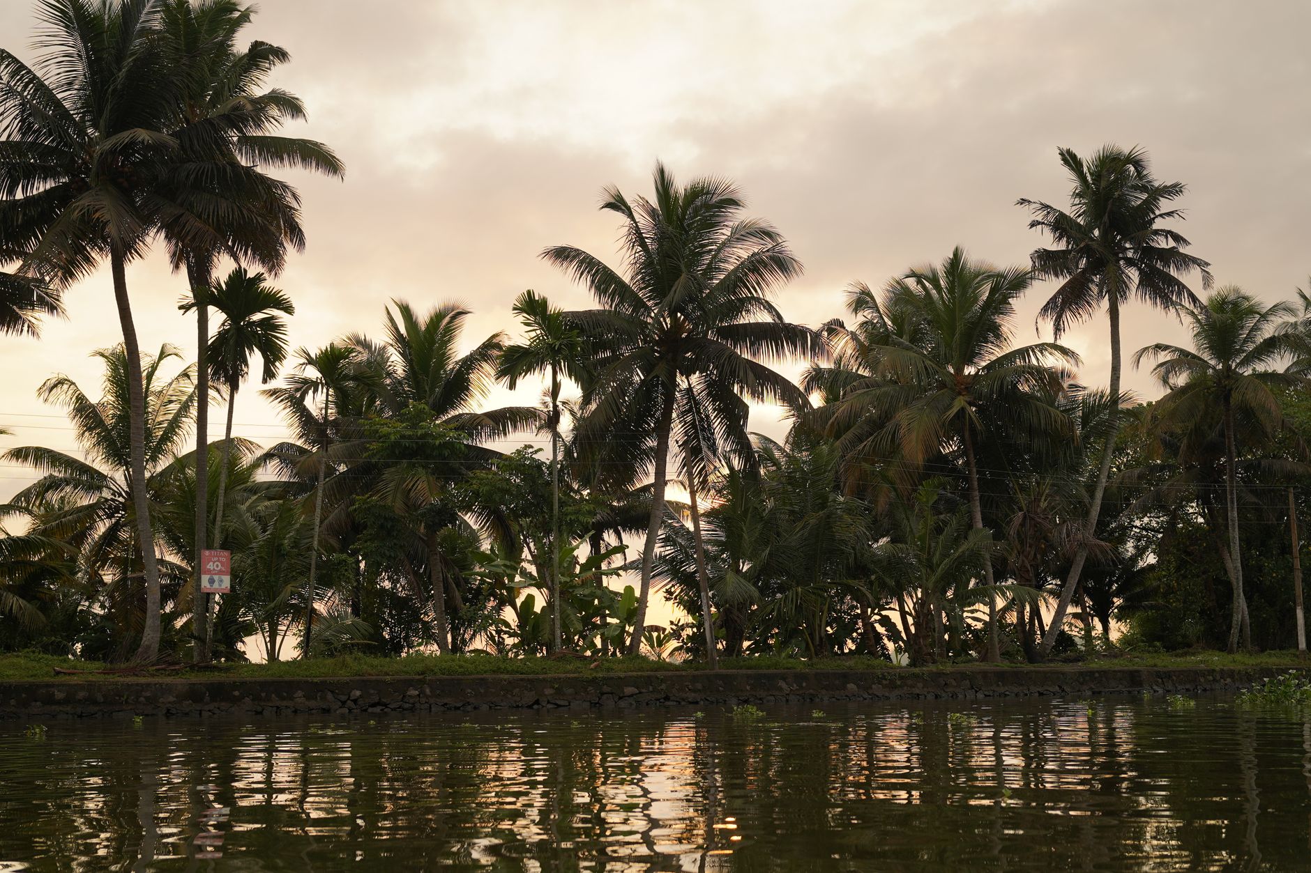 Tarot Magic on Kerala's Backwaters