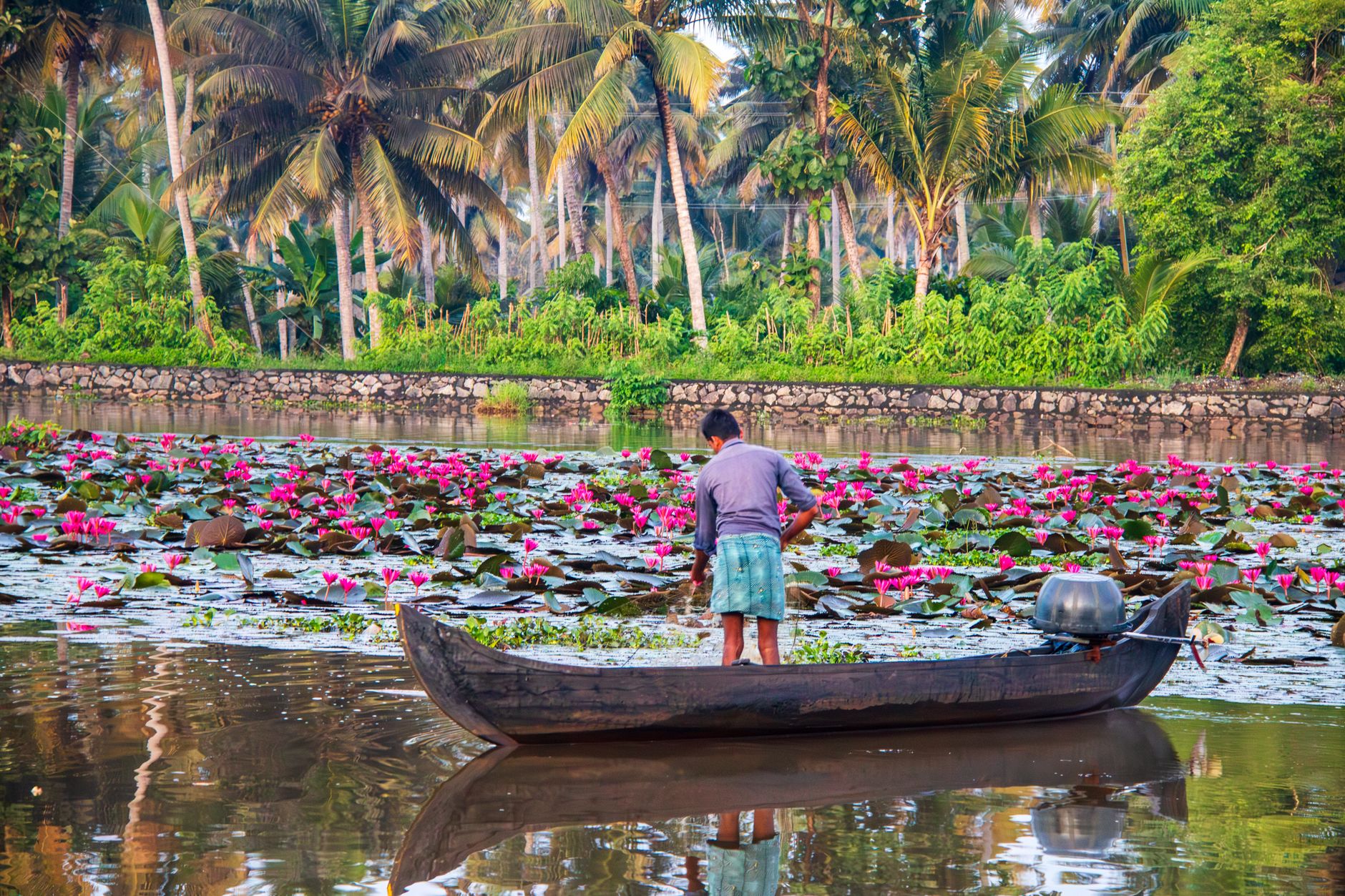 Live Instrumental Music for Kumarakom Events
