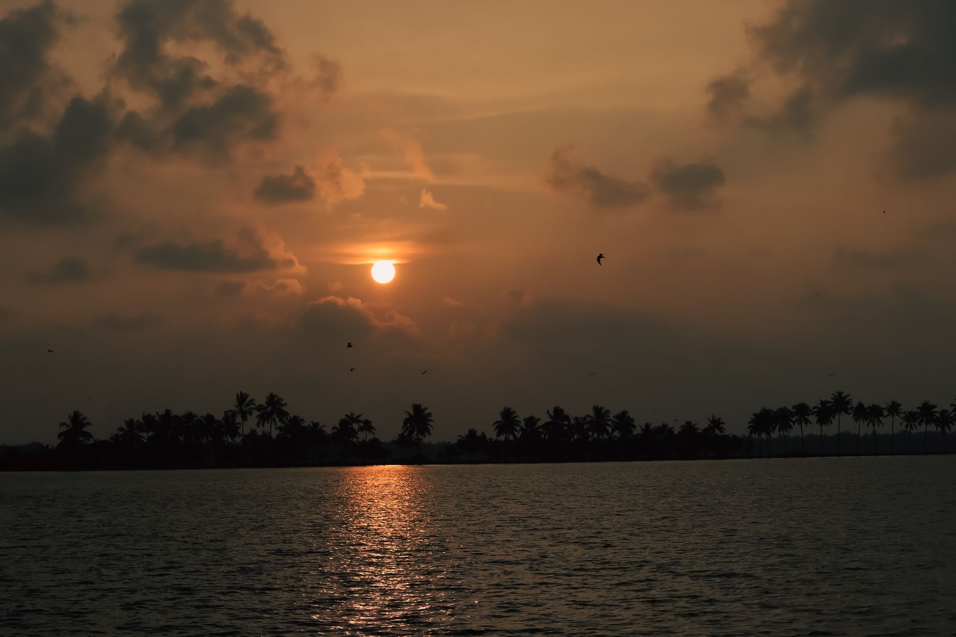 Light Up Kumarakom's Backwaters
