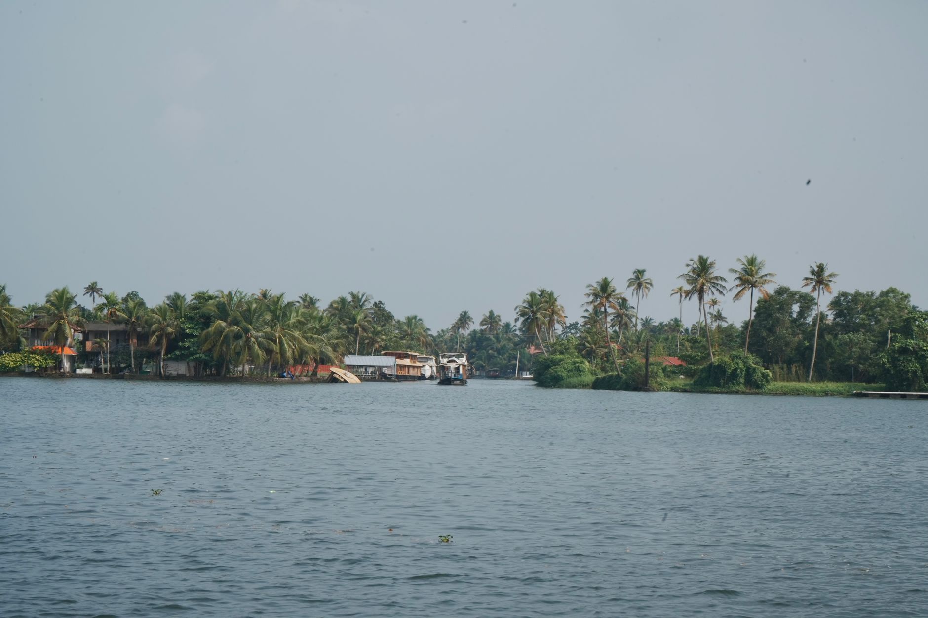 Legal Music for Kerala Weddings