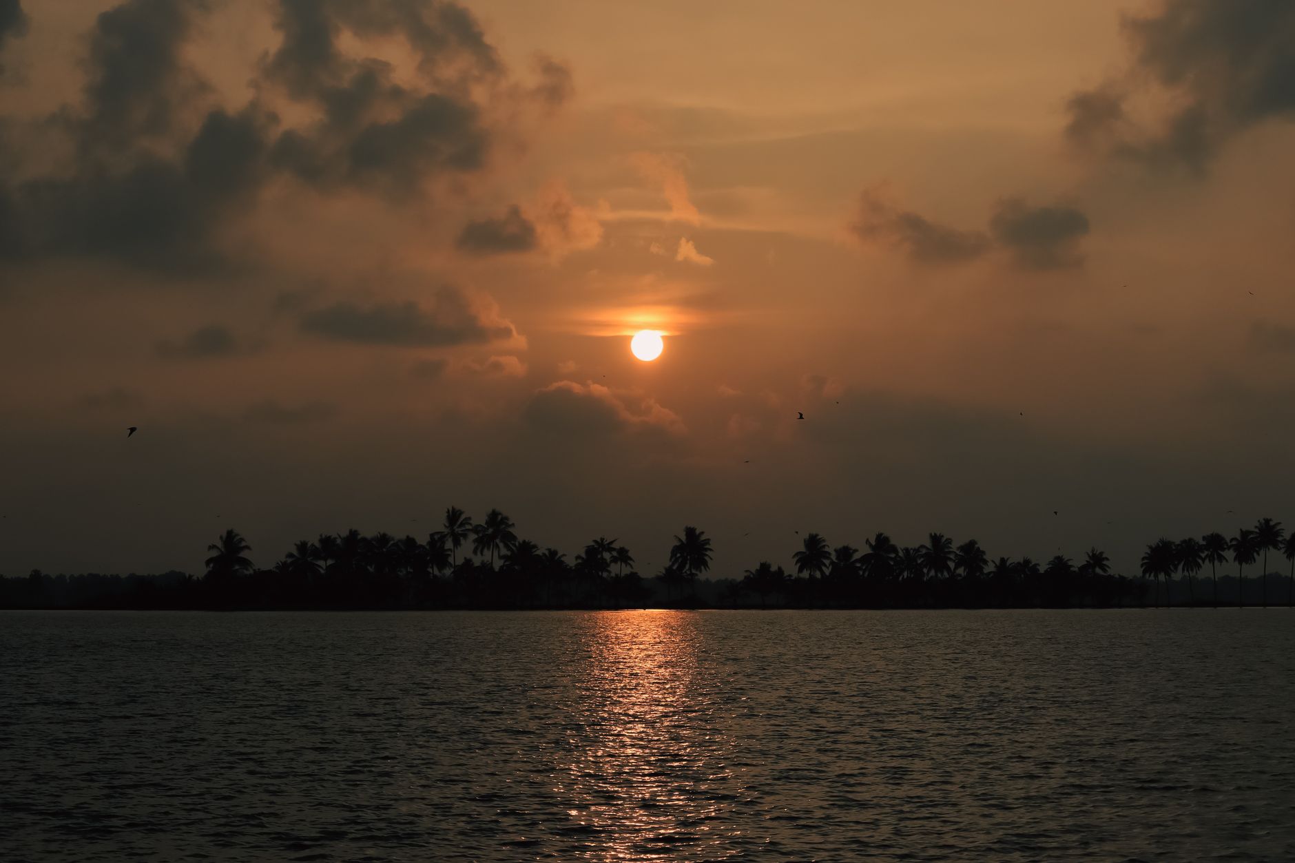 Capture Every Moment in Kumarakom