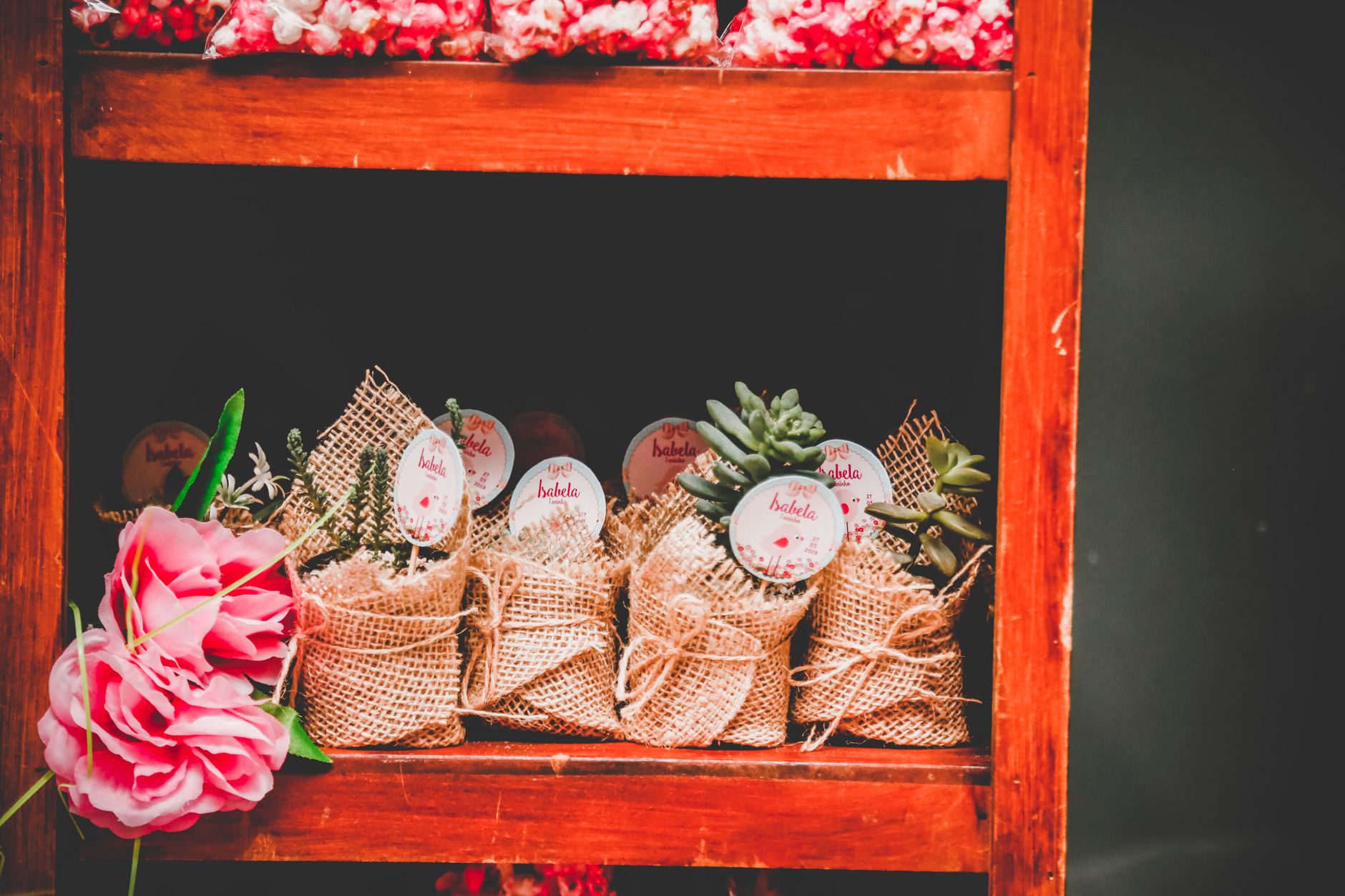 Occasion Plant Favors