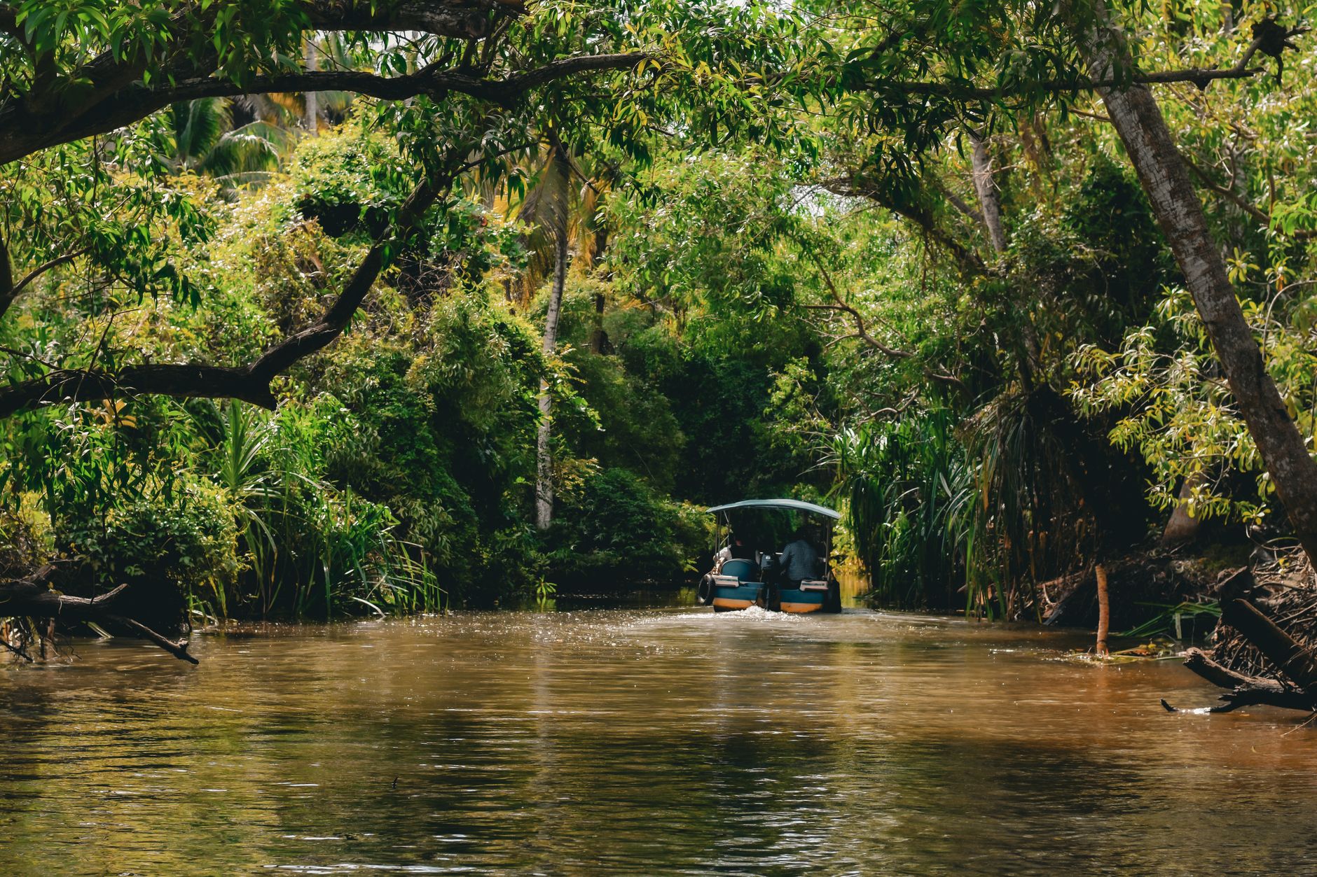 Live Feasts on the Backwaters