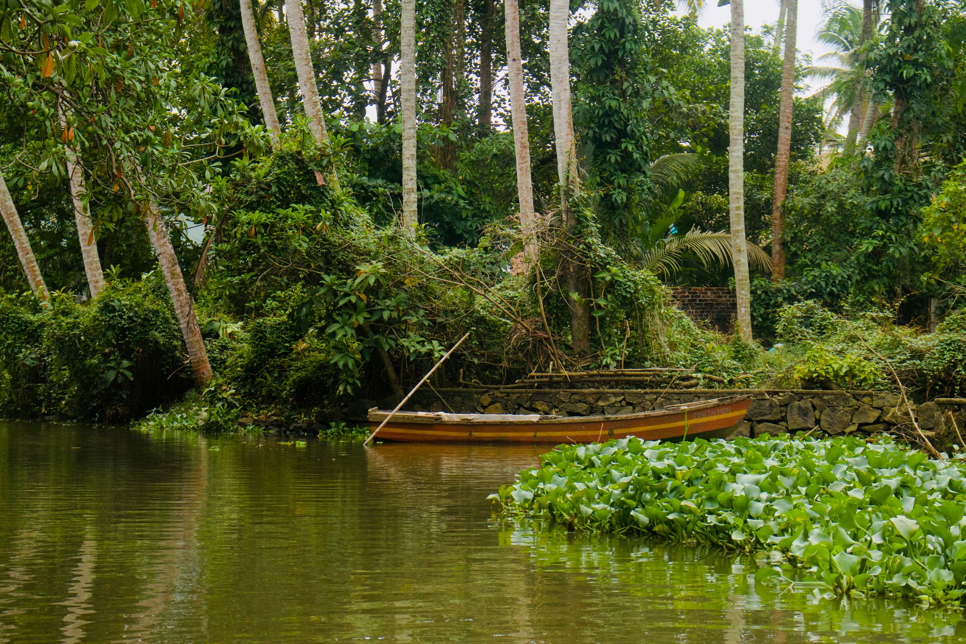 Unforgettable Surprises in Kumarakom