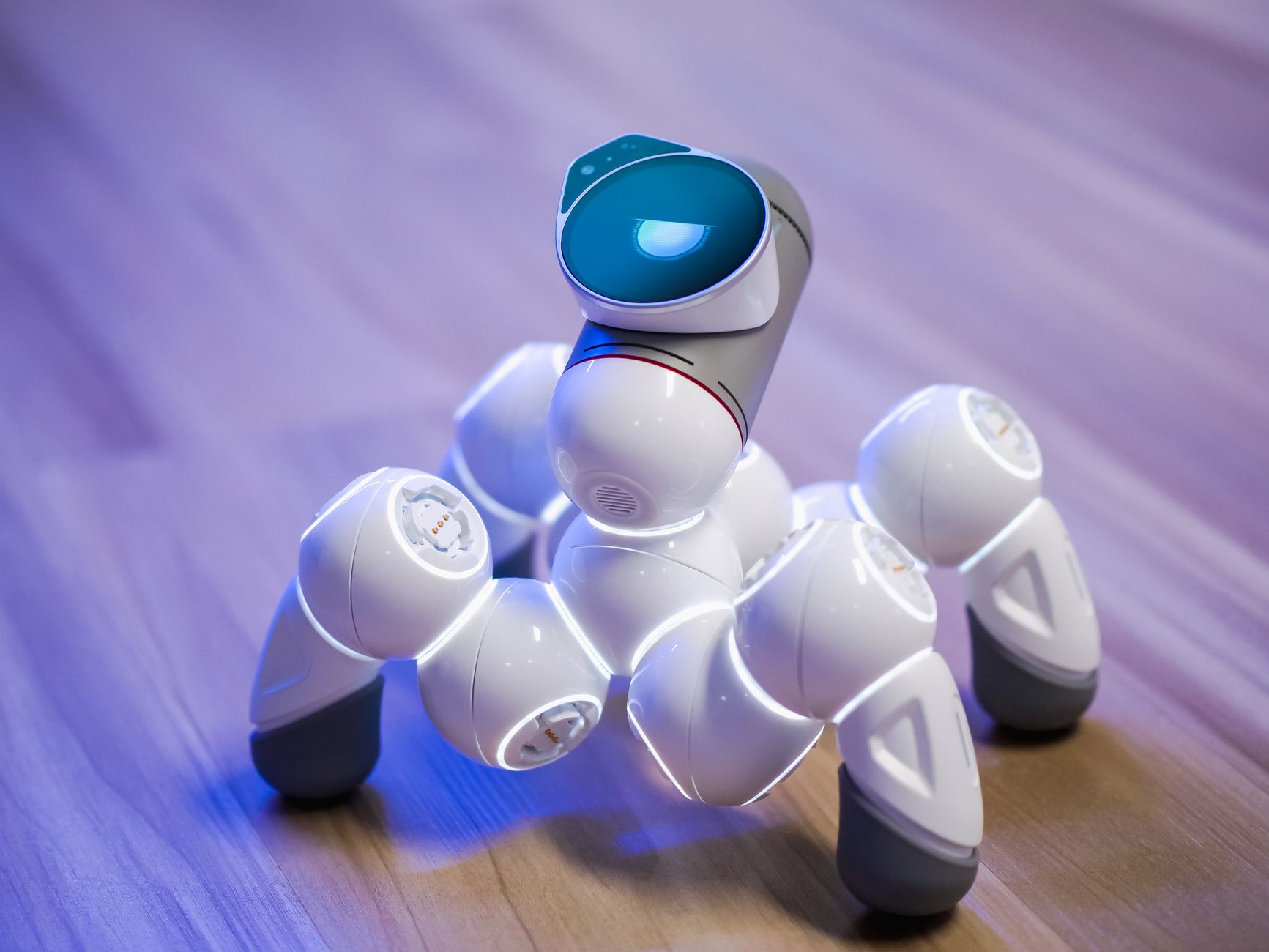 Customized AI Robot