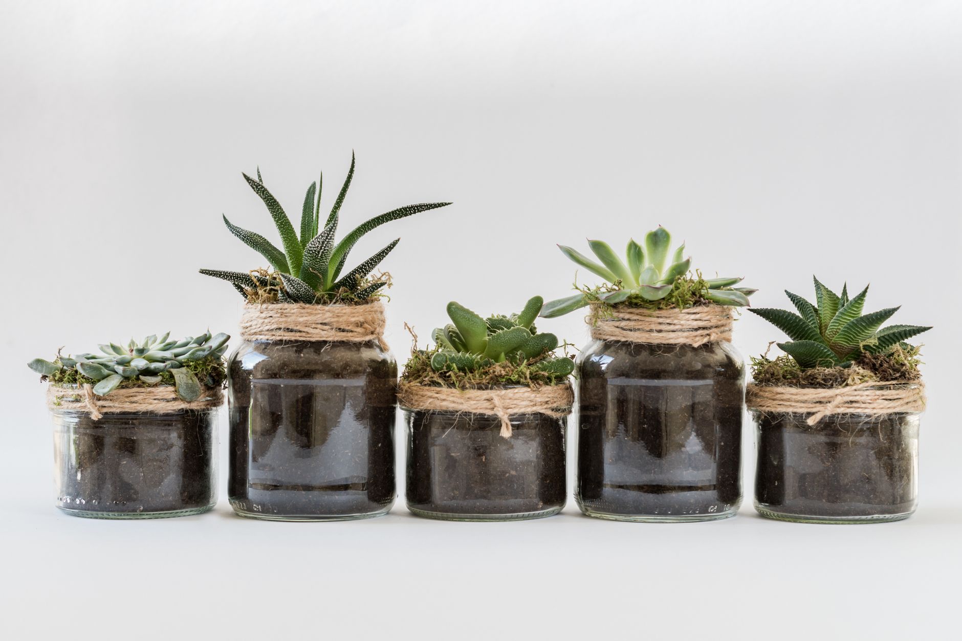 Housewarming Green Gifts