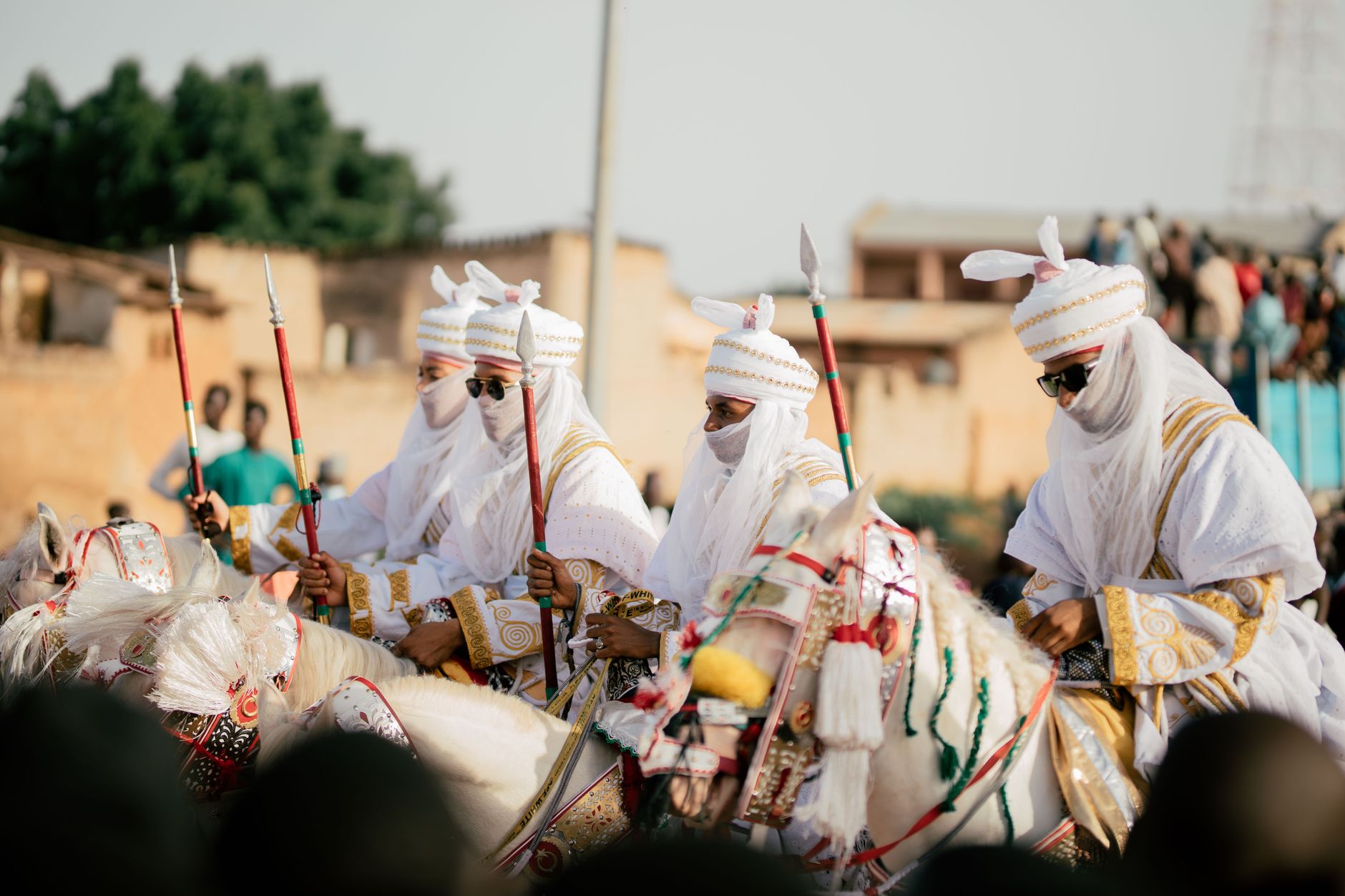 Trained Procession Horse