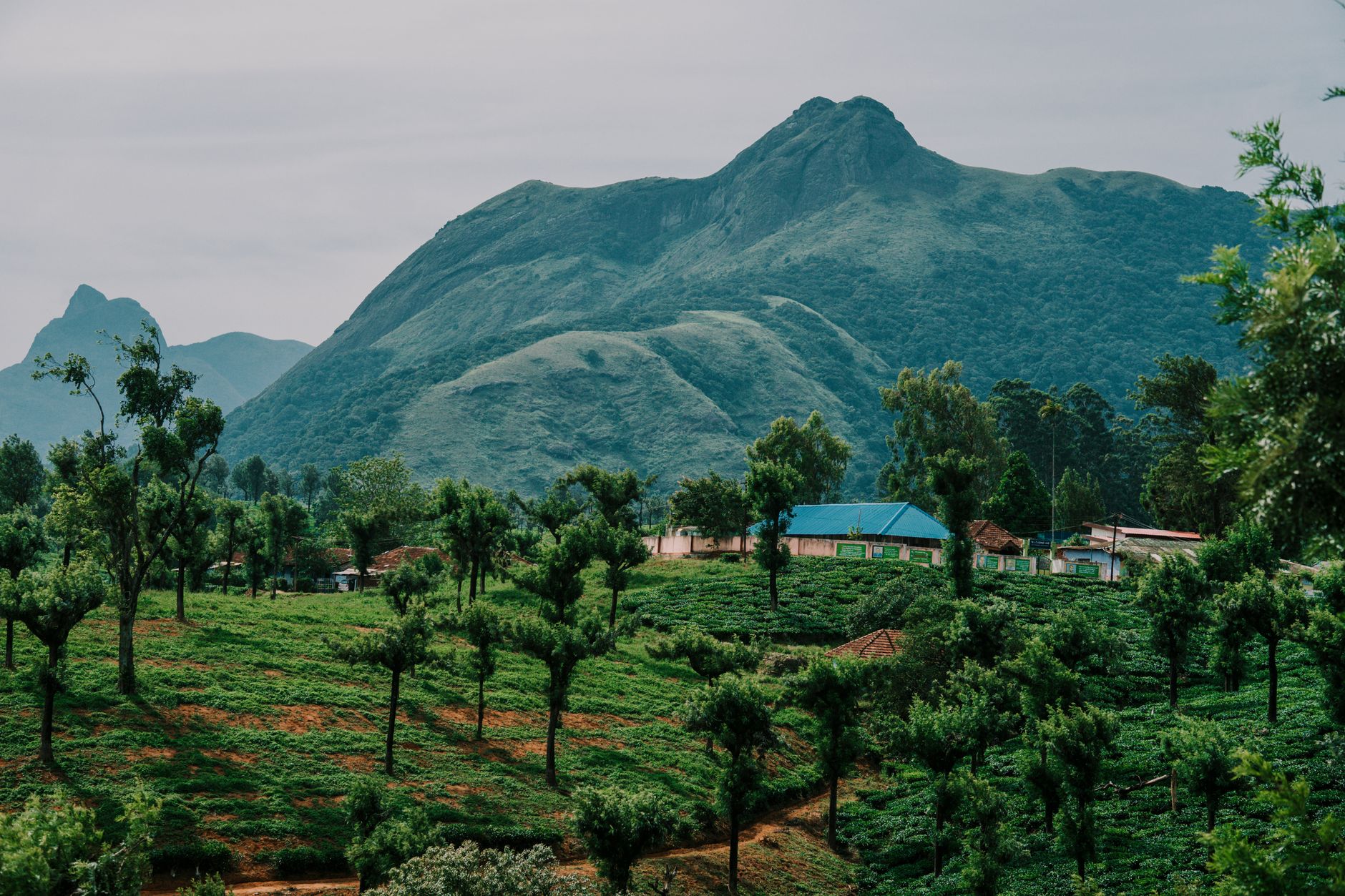 Celebrate Small, Dream Big in Lonavala