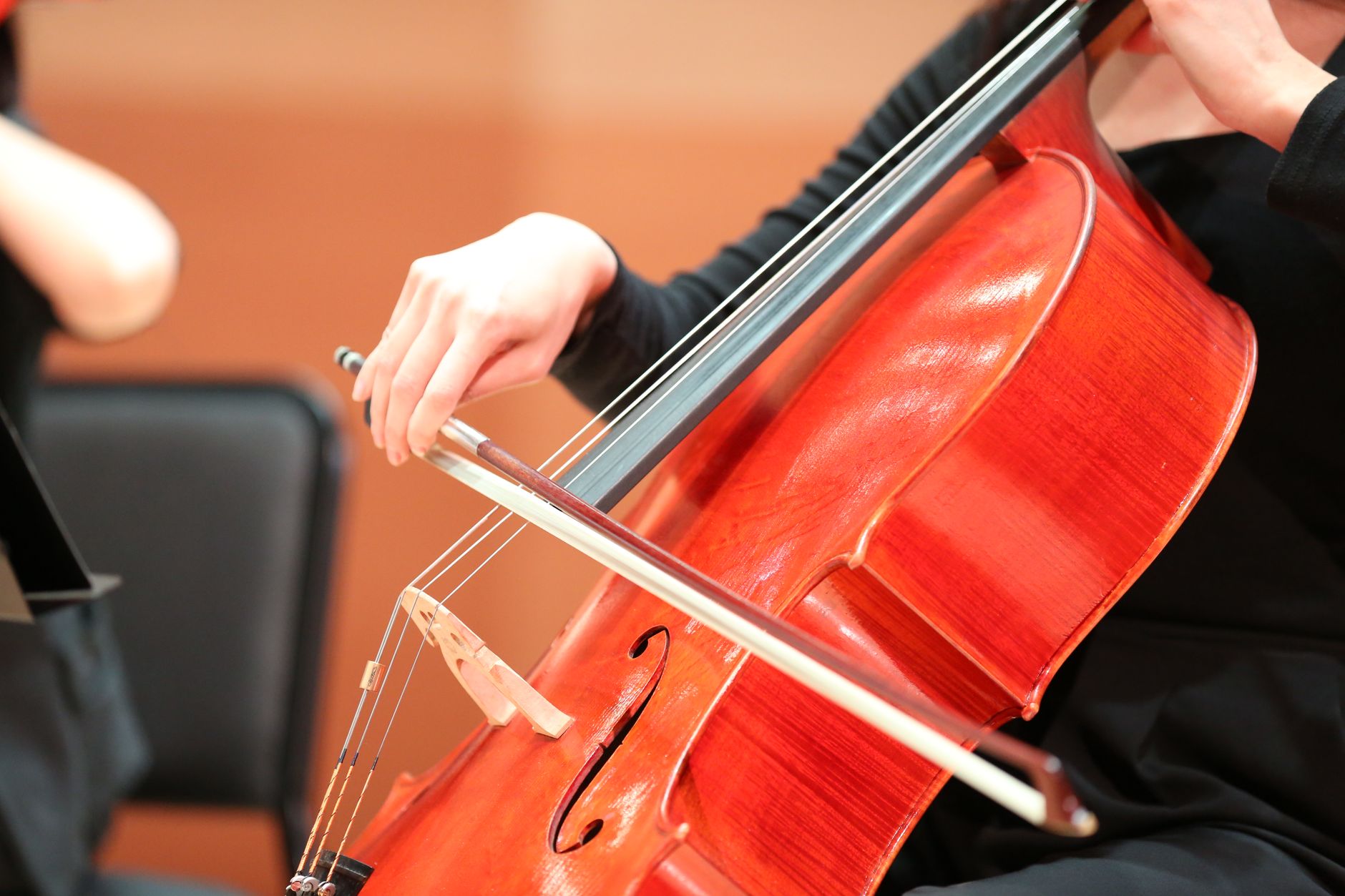 Classical Carnatic Music for Your Event