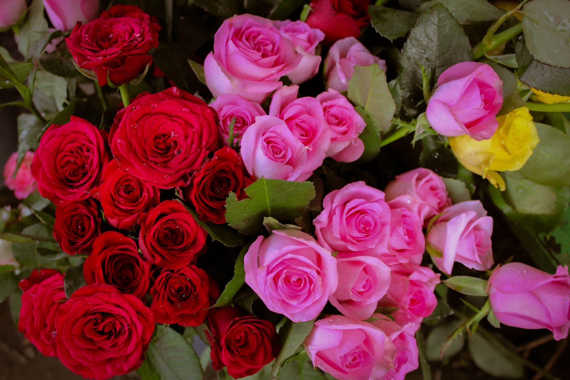 Gift Blooms That Say It All