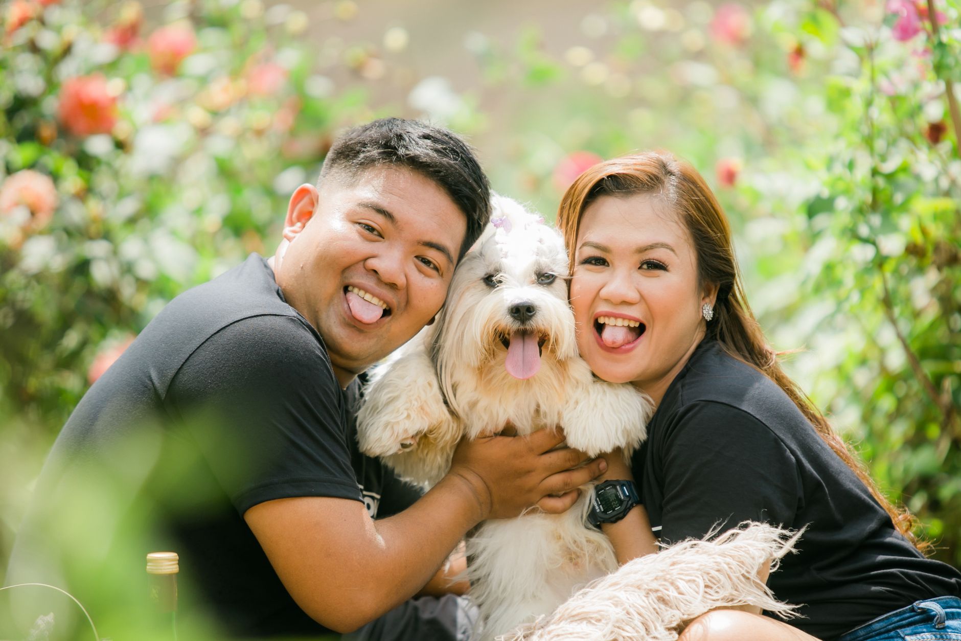 Keep Pets Happy at Your Event