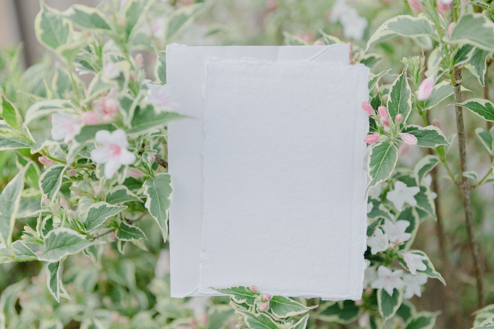 Invite Guests, Grow a Memory