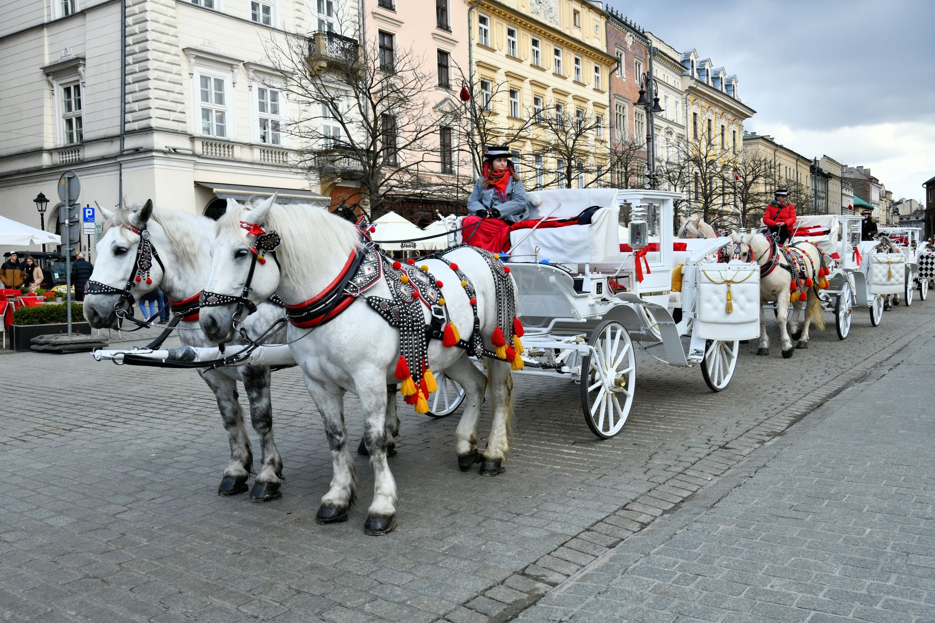Royal Baraat Starts Here