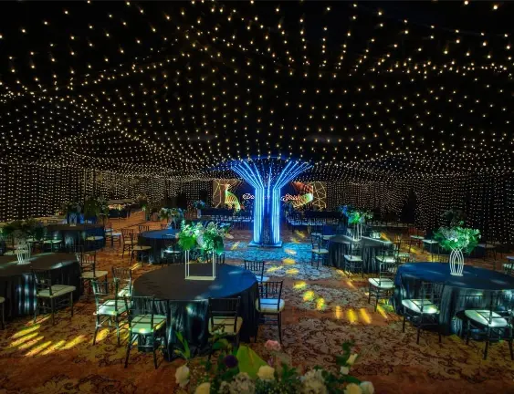 Why Choose Premium Ballroom Spaces for Your Wedding Reception?