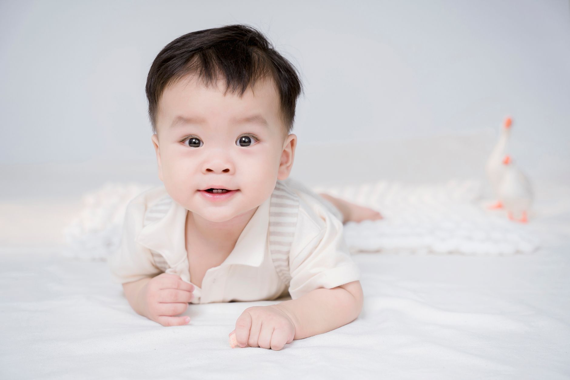 Baby Crawling Photography