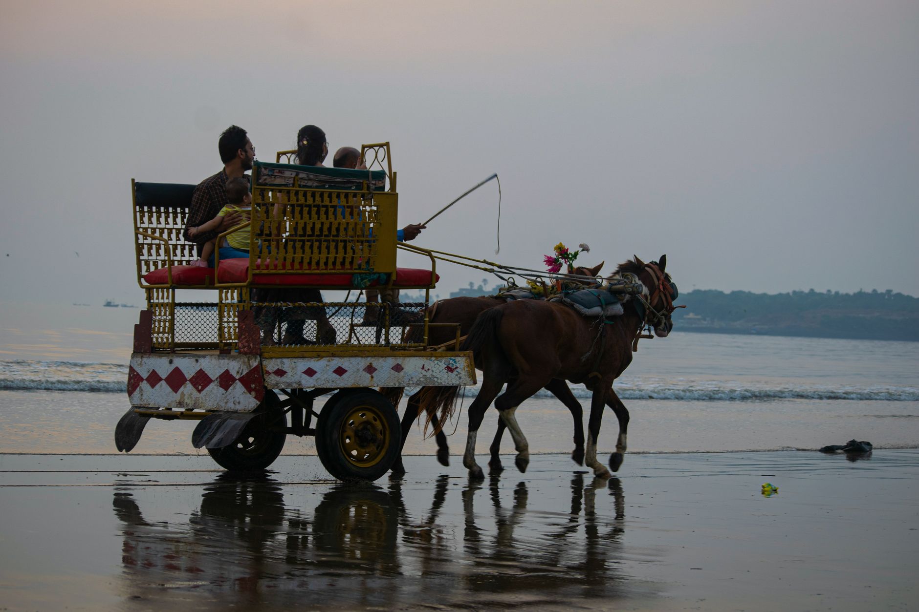 Grand Entry Chariot