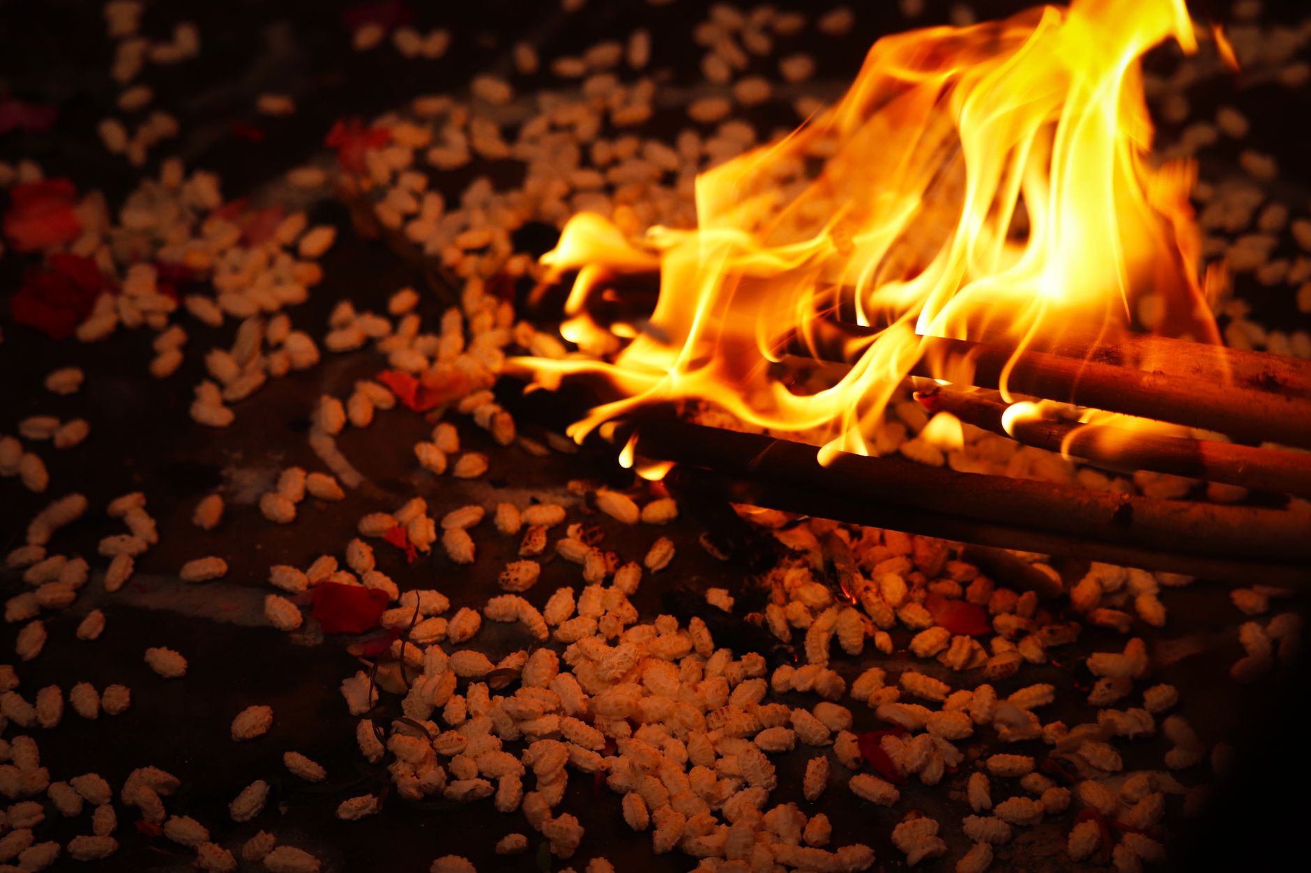 Homam Samagri Kit