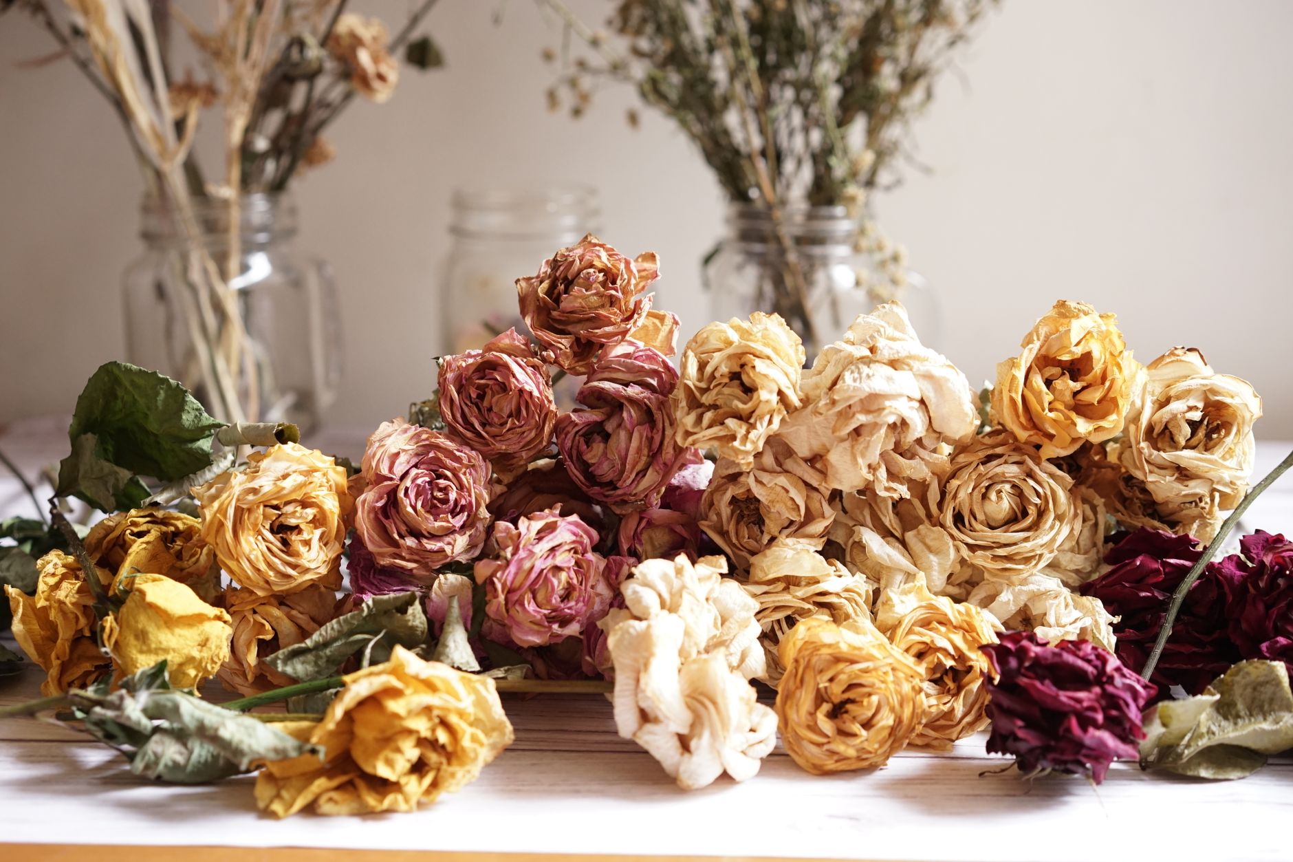 Preserved Rose Domes