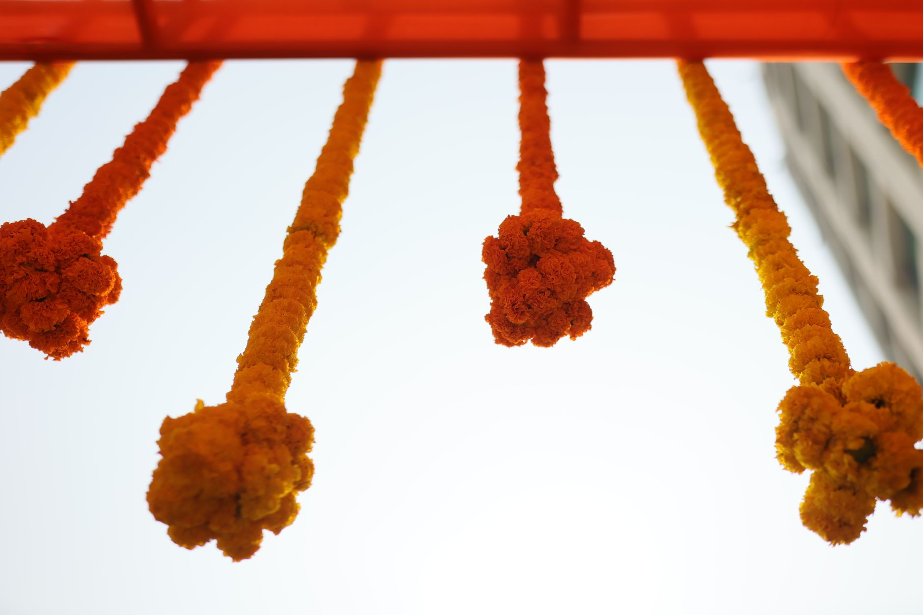 Fresh Flower Garlands, Mahabalipuram