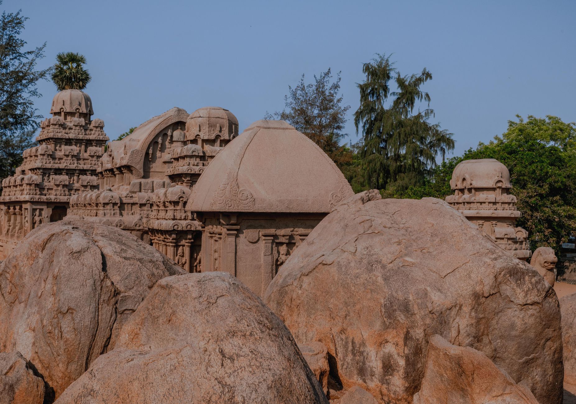 Party by the Sea in Mahabalipuram