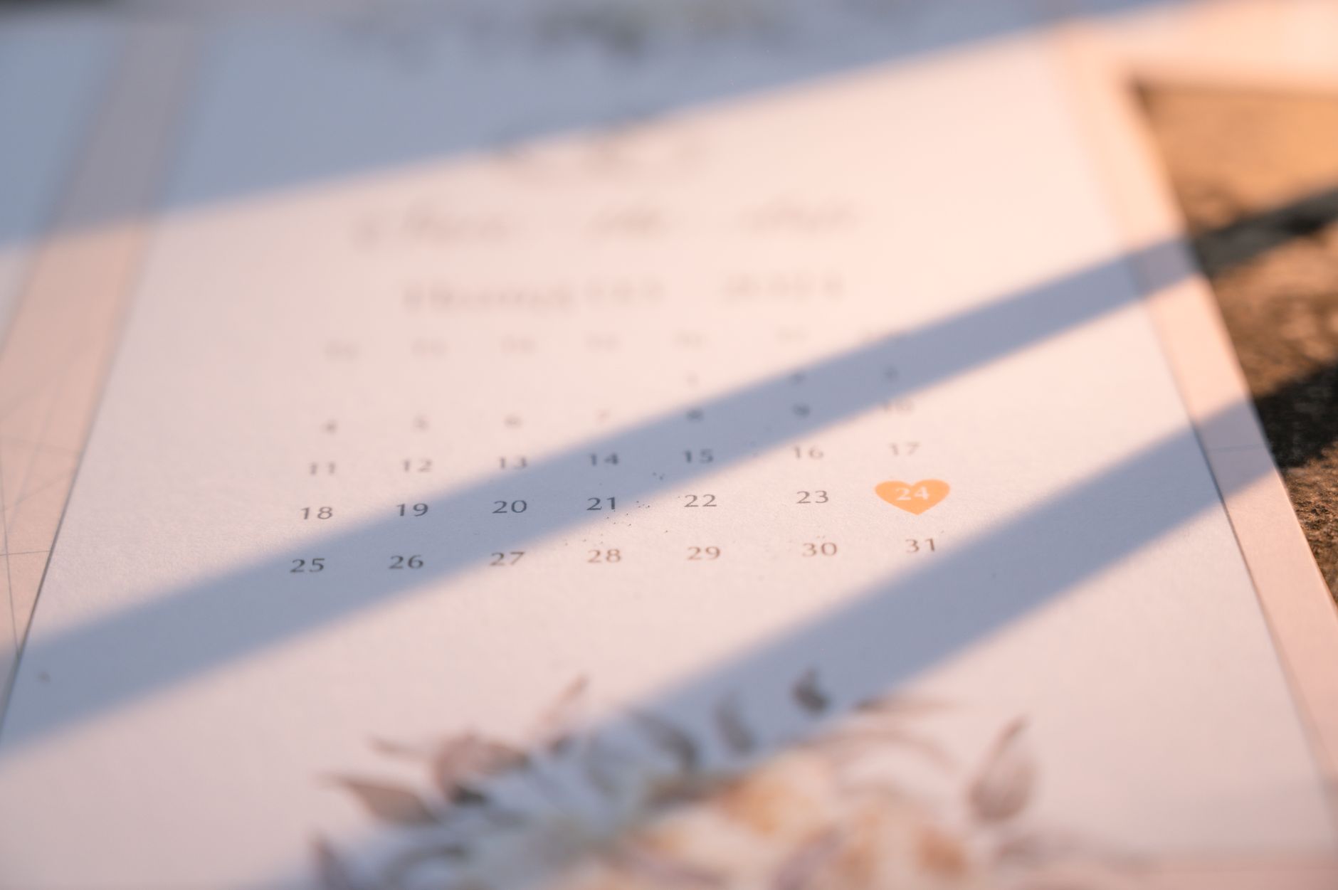 Celebration Schedule Cards