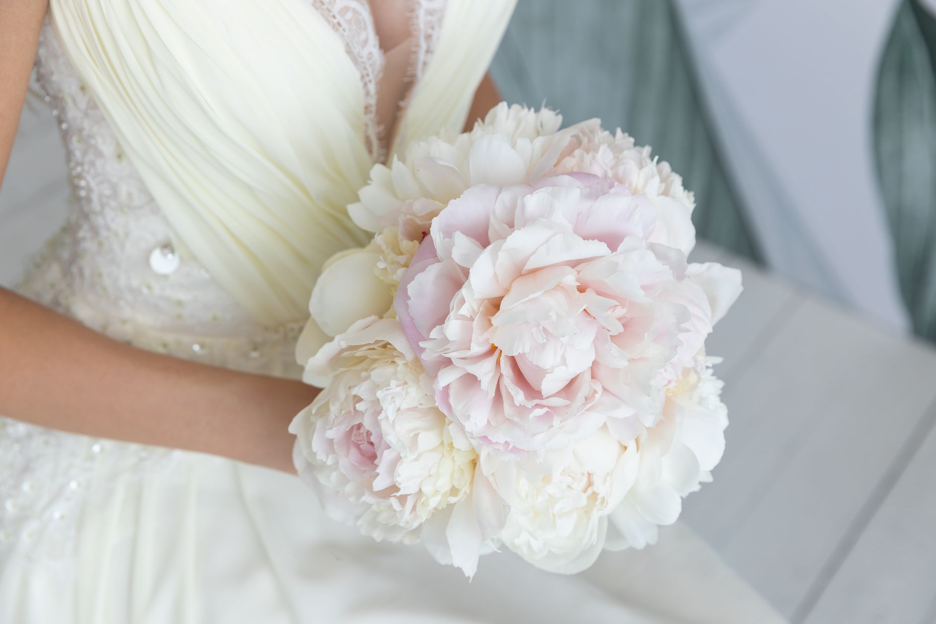 Fresh Peony Bouquets