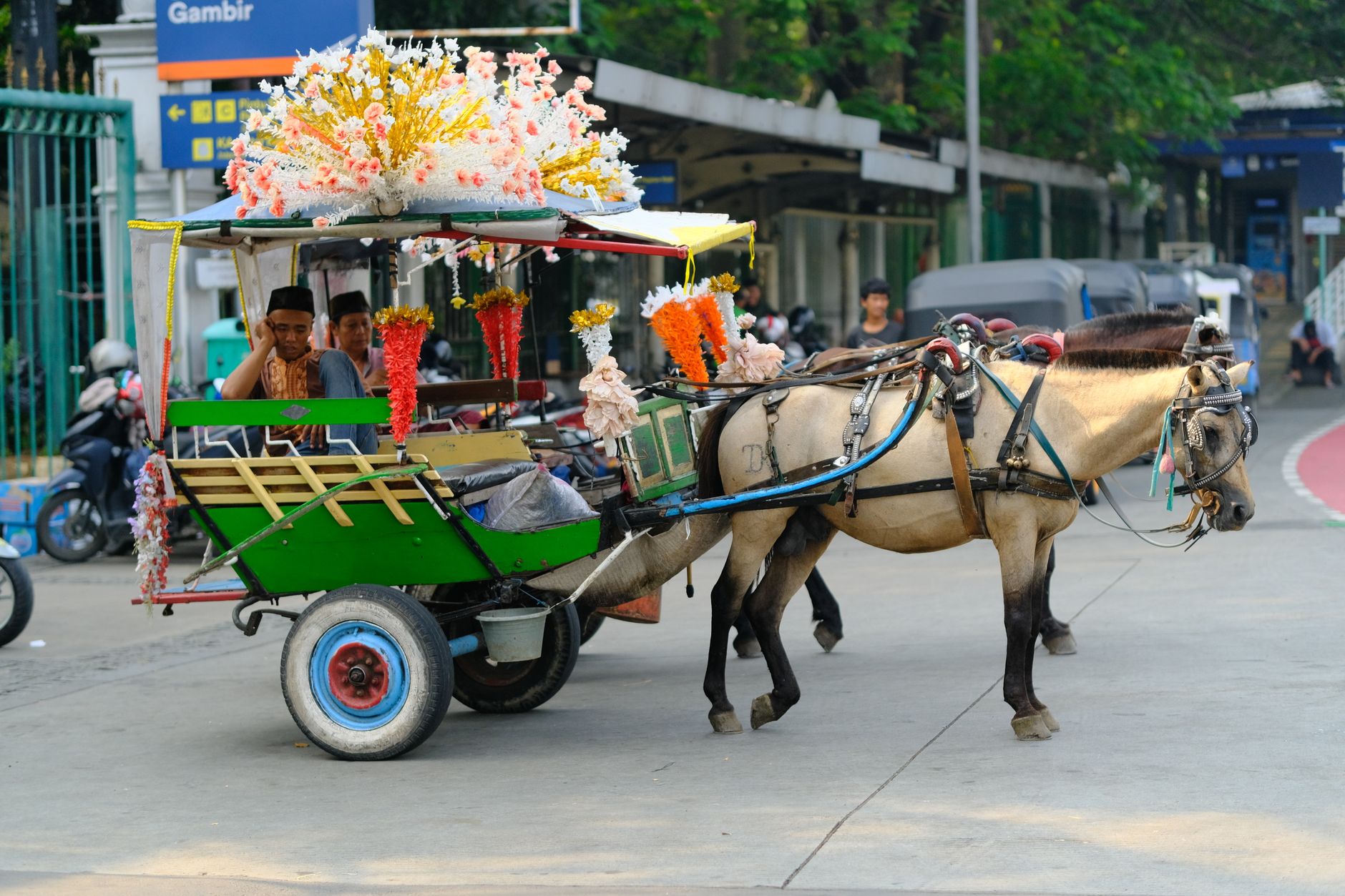 Royal Baraat Rides in Manali