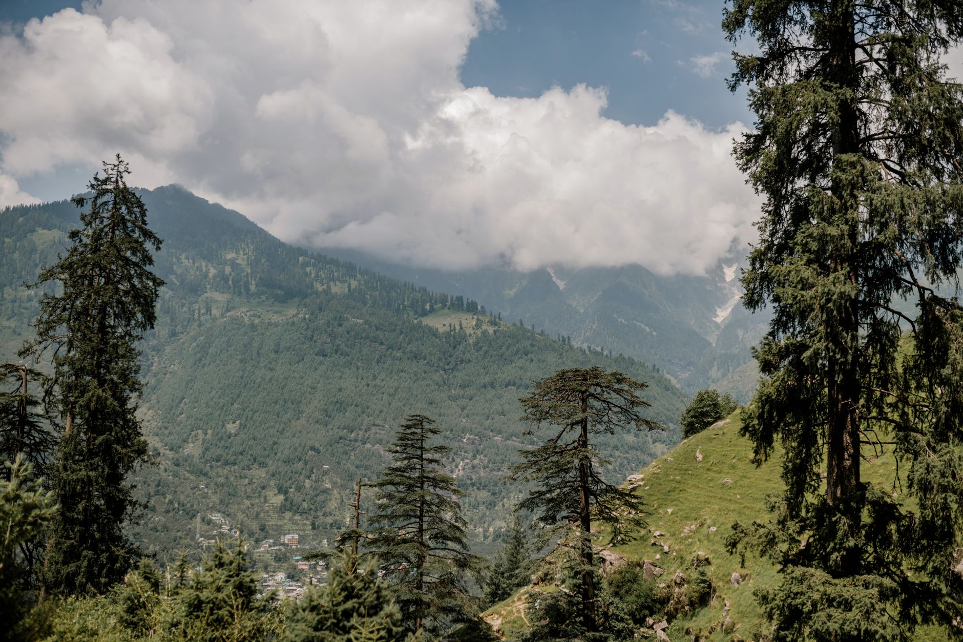 Manali Wedding Venues That Wow