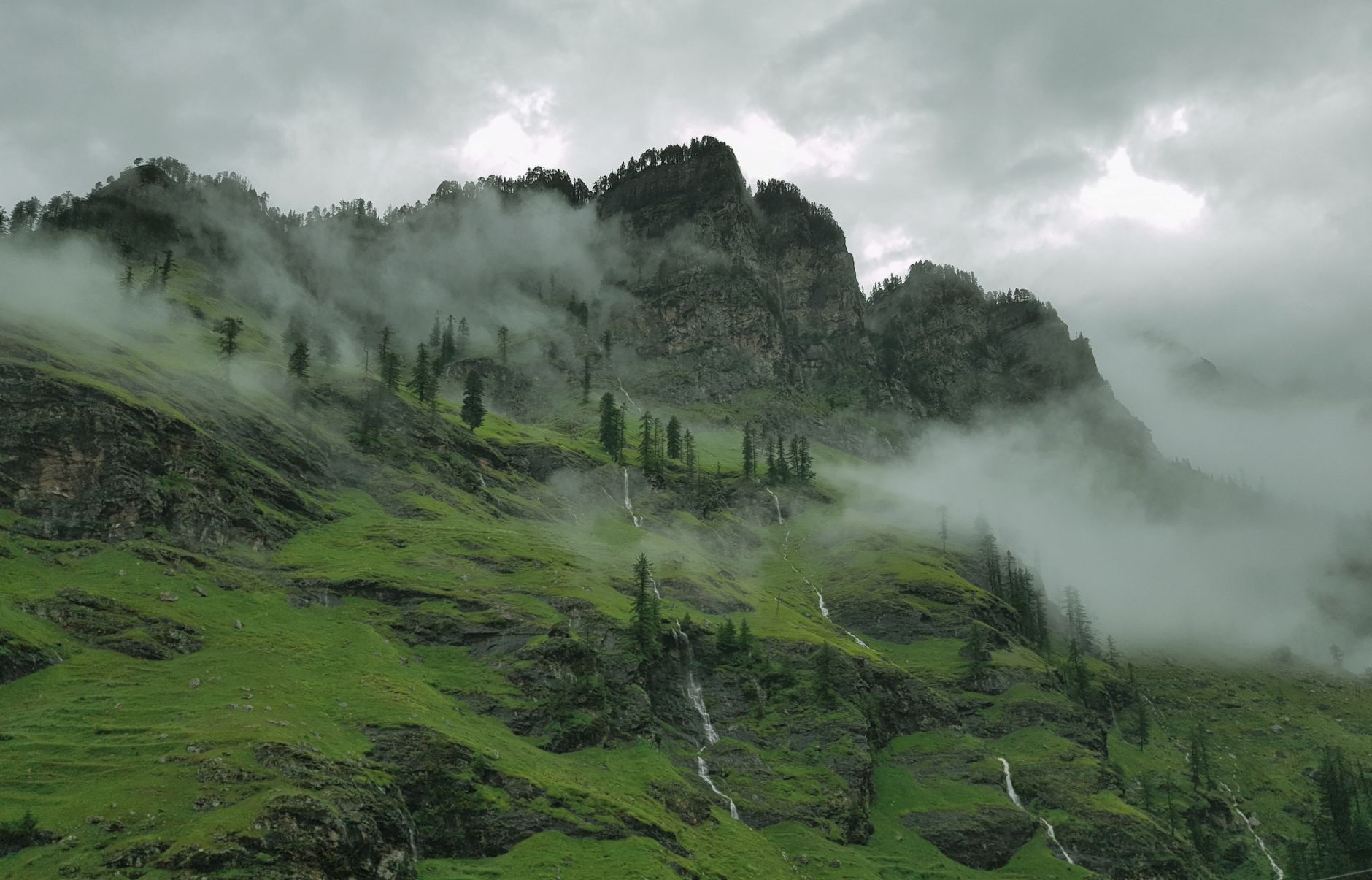 Riverside Wellness Retreats, Manali