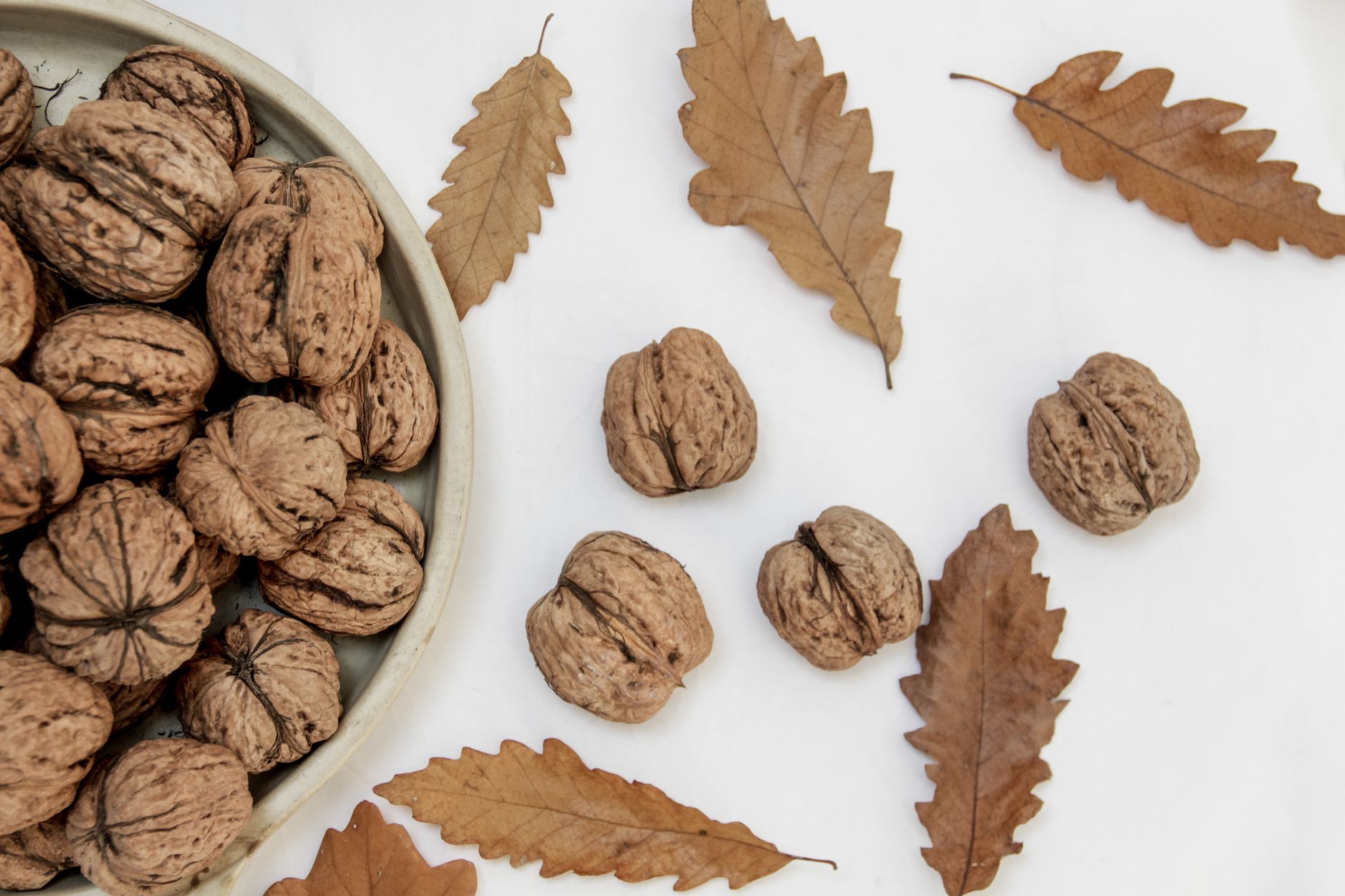 Manali's Finest Walnut Gift Hampers