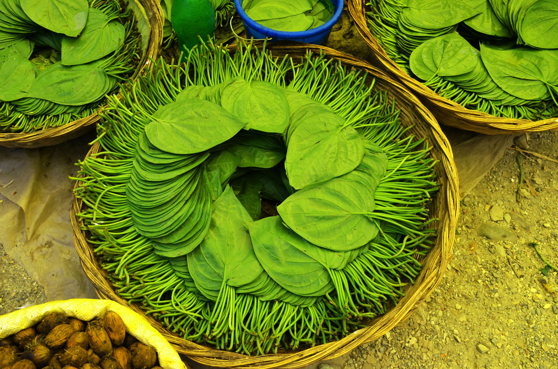 Paan Counter Magic at Your Wedding