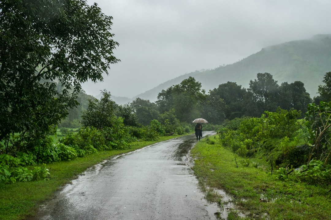 Curate Your Monsoon Style