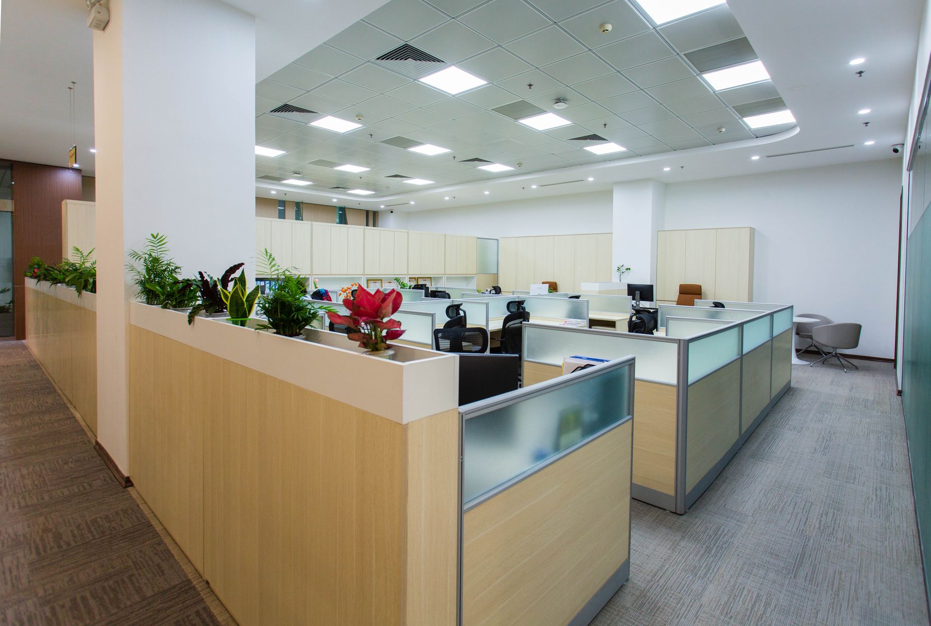 Transform Your Mumbai Office Space