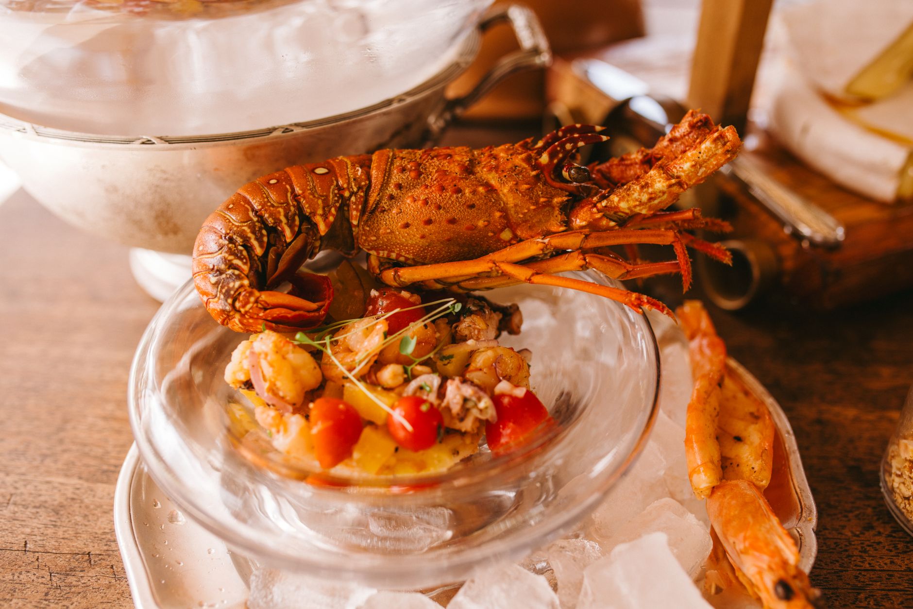 Elevate Every Bite in Mumbai