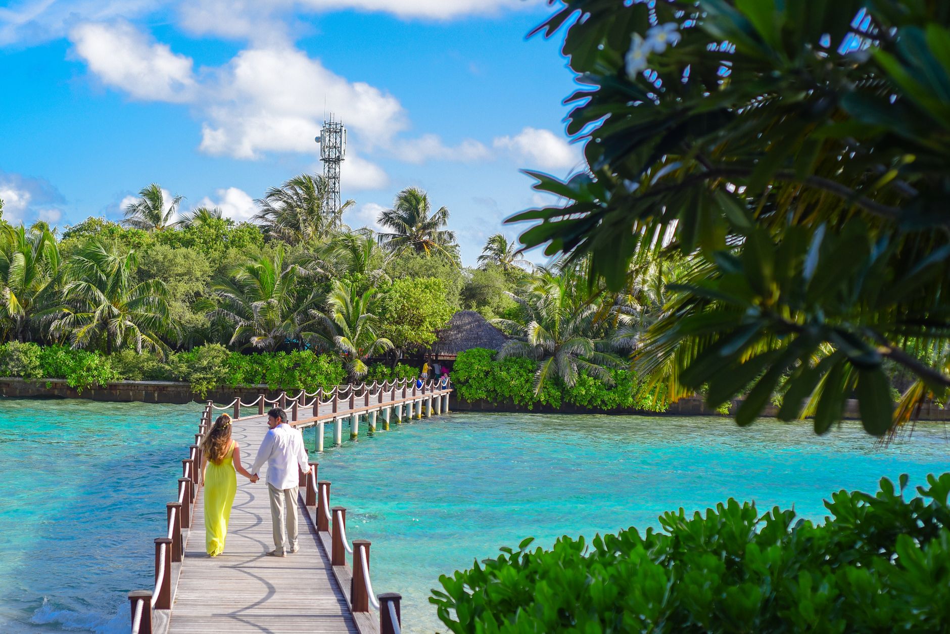 Your Perfect Honeymoon Starts Here
