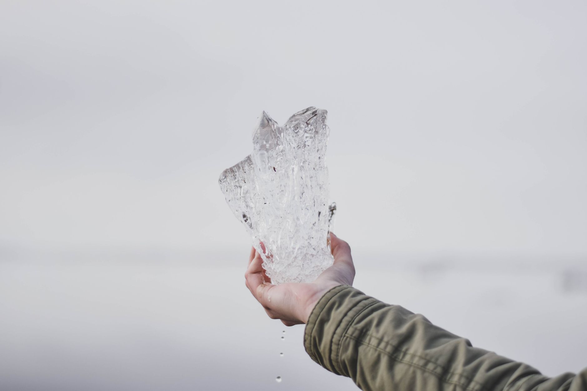 Sculpted Ice. Unforgettable Moments.