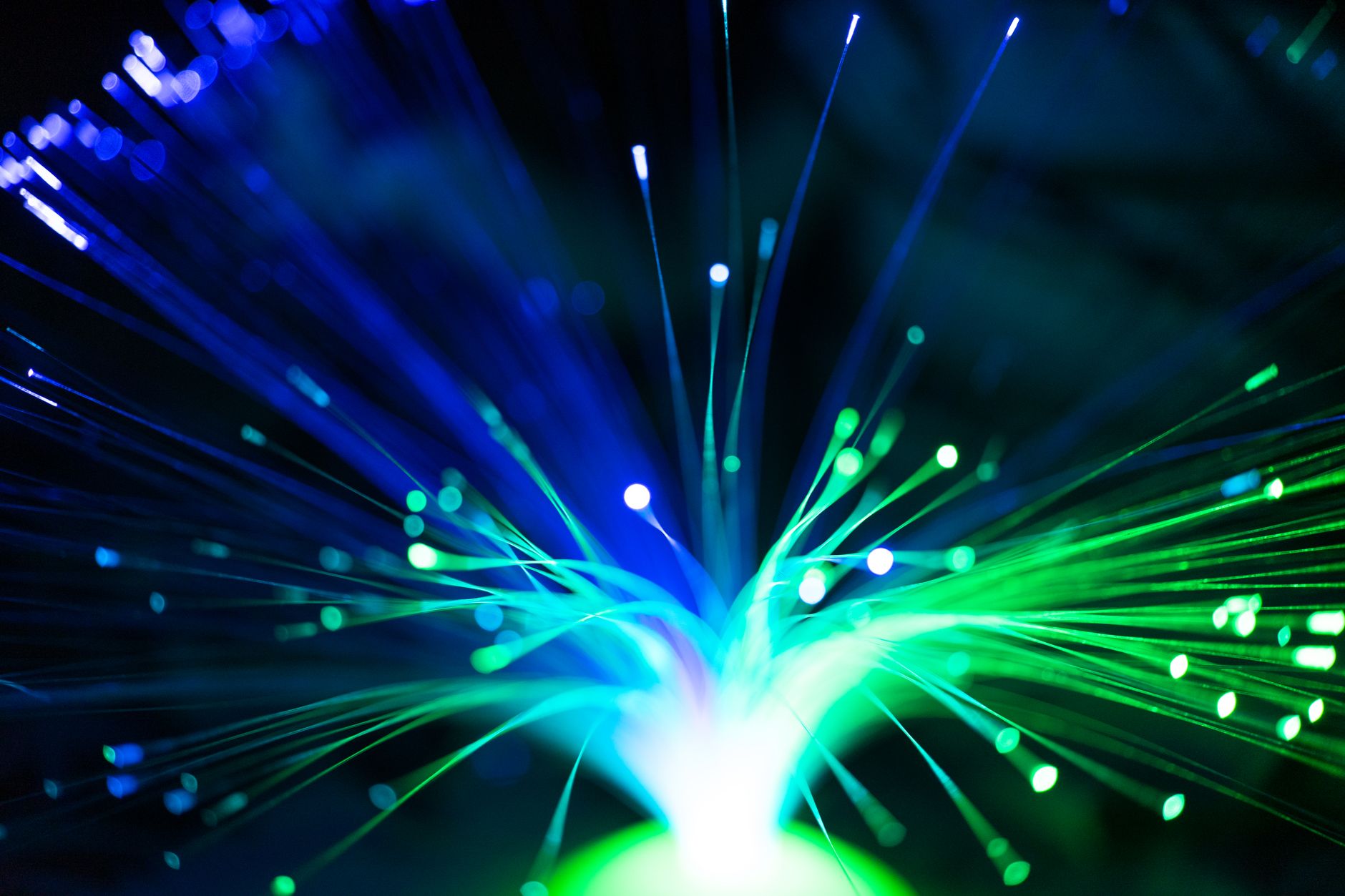 Fibre Prop Hire — Mumbai's Best