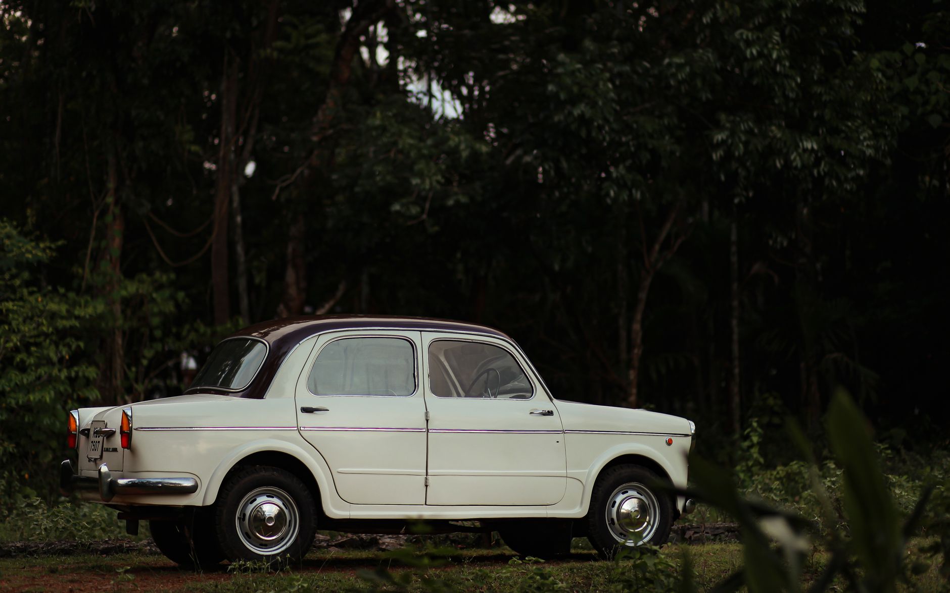 Antique Car Rental