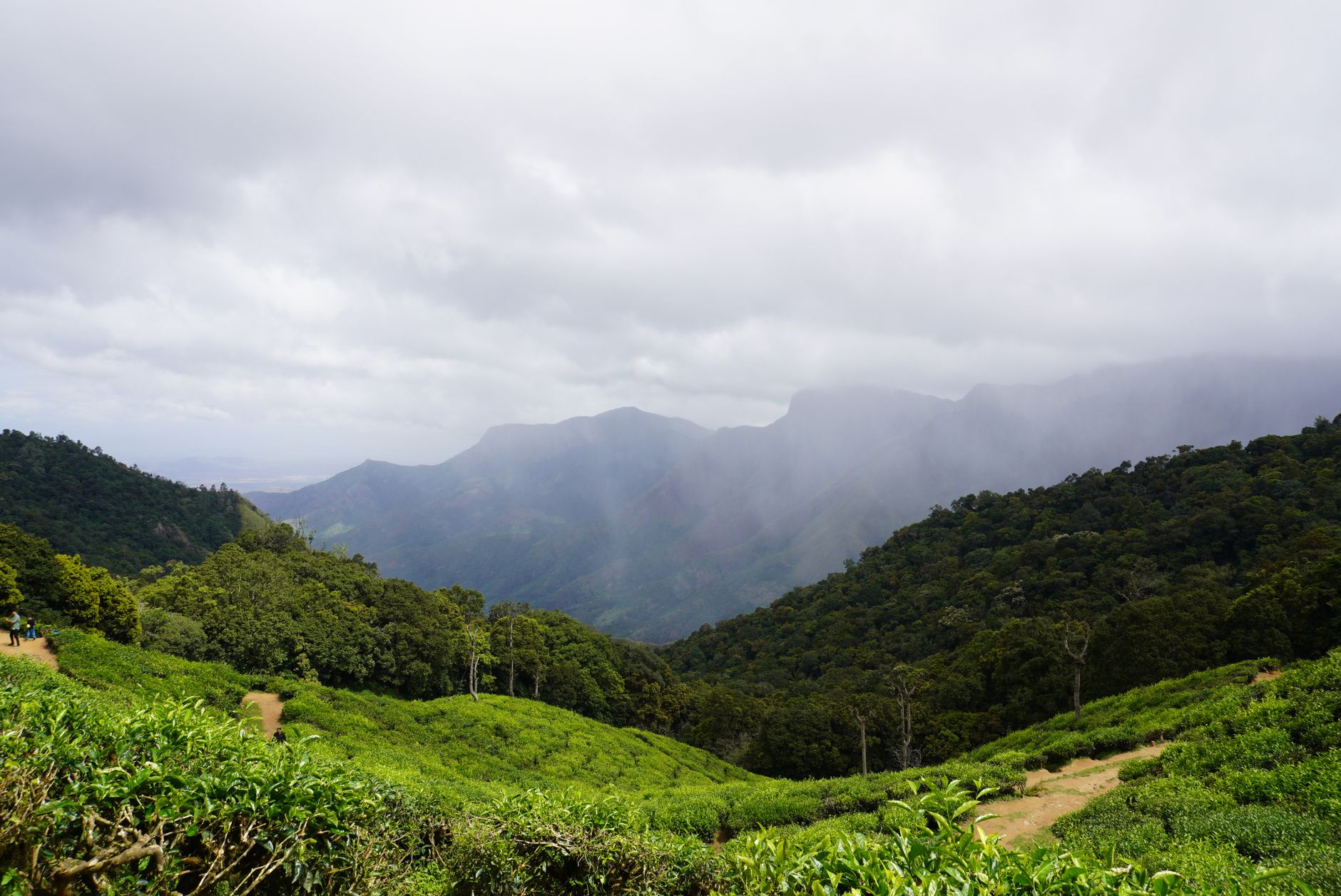 RSVP Smart for Munnar Events