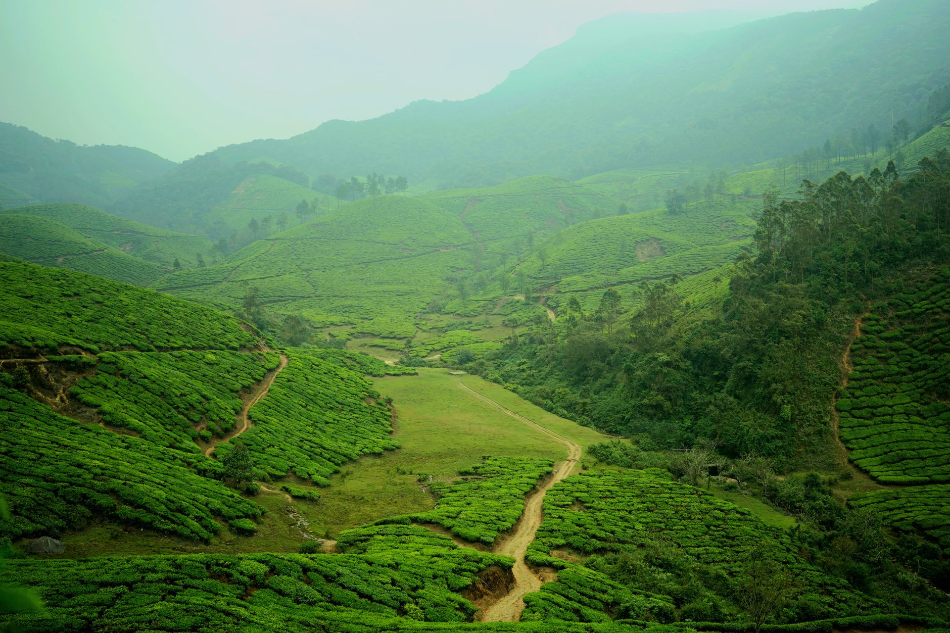 Birthday Keepsake Gifts in Munnar
