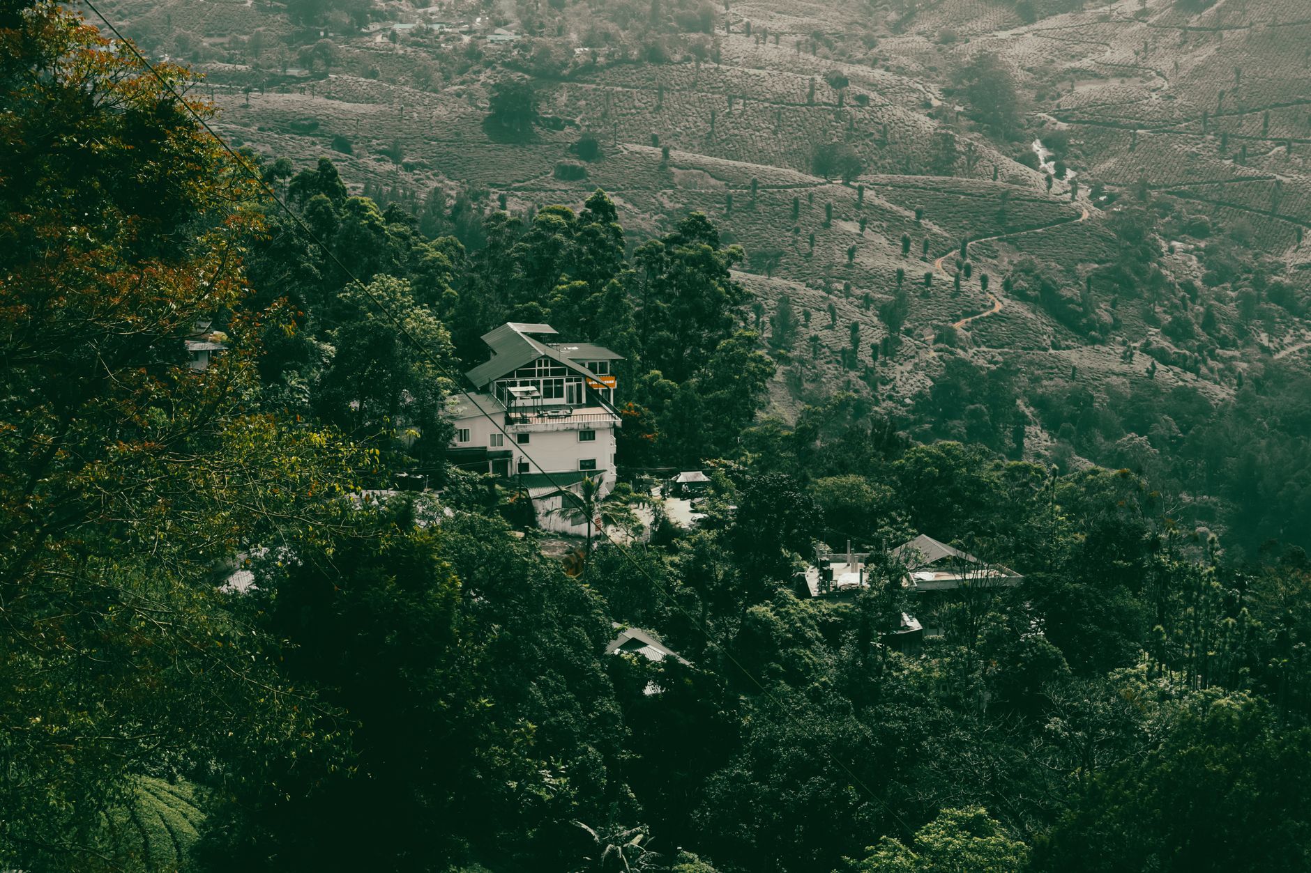 Celebrate Intimately in Munnar's Villas